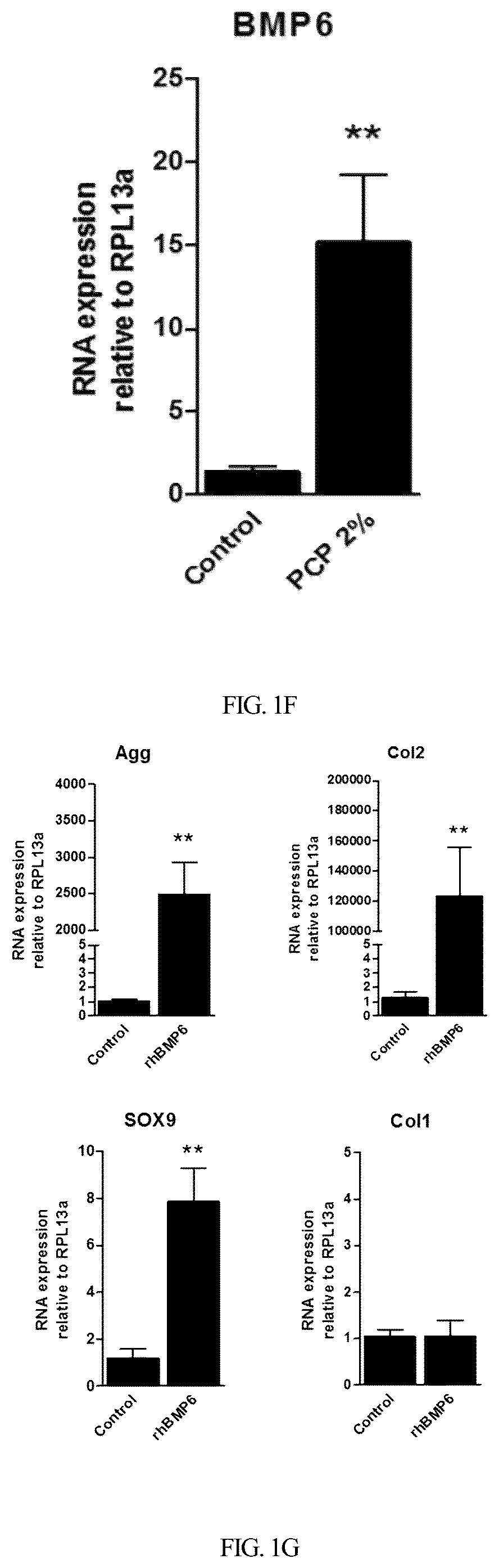 Patent US12350295 Figure 4 – Complex for promoting cartilage differentiation comprising cartilage cell-free crush and stem cell and use thereof