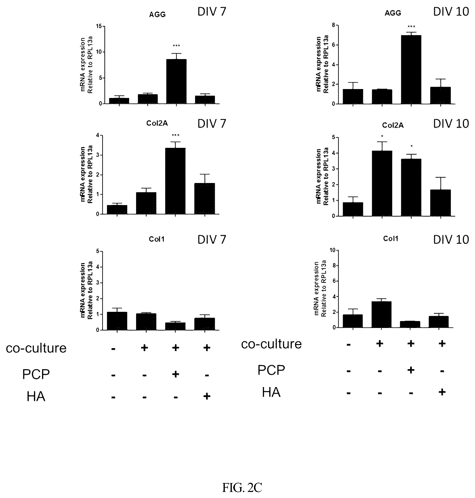 Patent US12350295 Figure 7 – Complex for promoting cartilage differentiation comprising cartilage cell-free crush and stem cell and use thereof