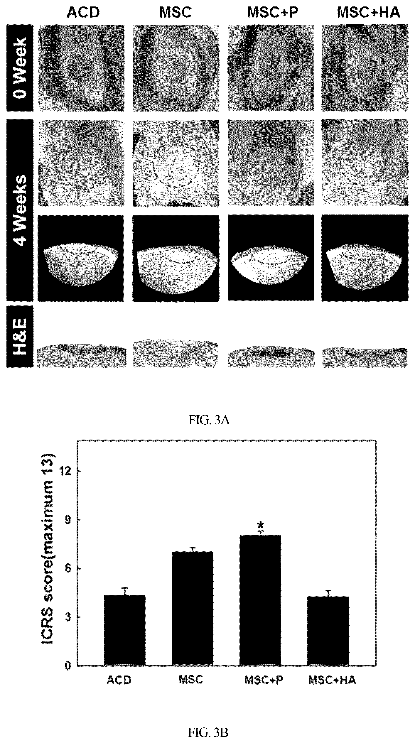 Patent US12350295 Figure 8 – Complex for promoting cartilage differentiation comprising cartilage cell-free crush and stem cell and use thereof