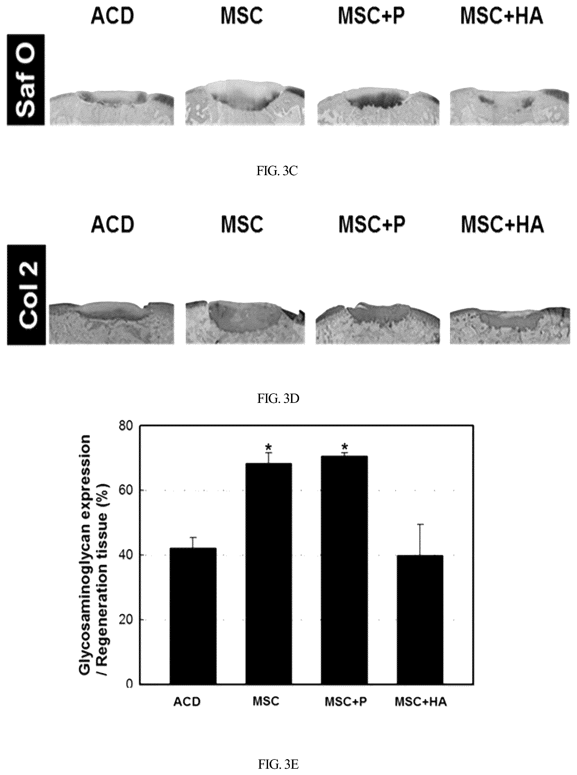 Patent US12350295 Figure 9 – Complex for promoting cartilage differentiation comprising cartilage cell-free crush and stem cell and use thereof