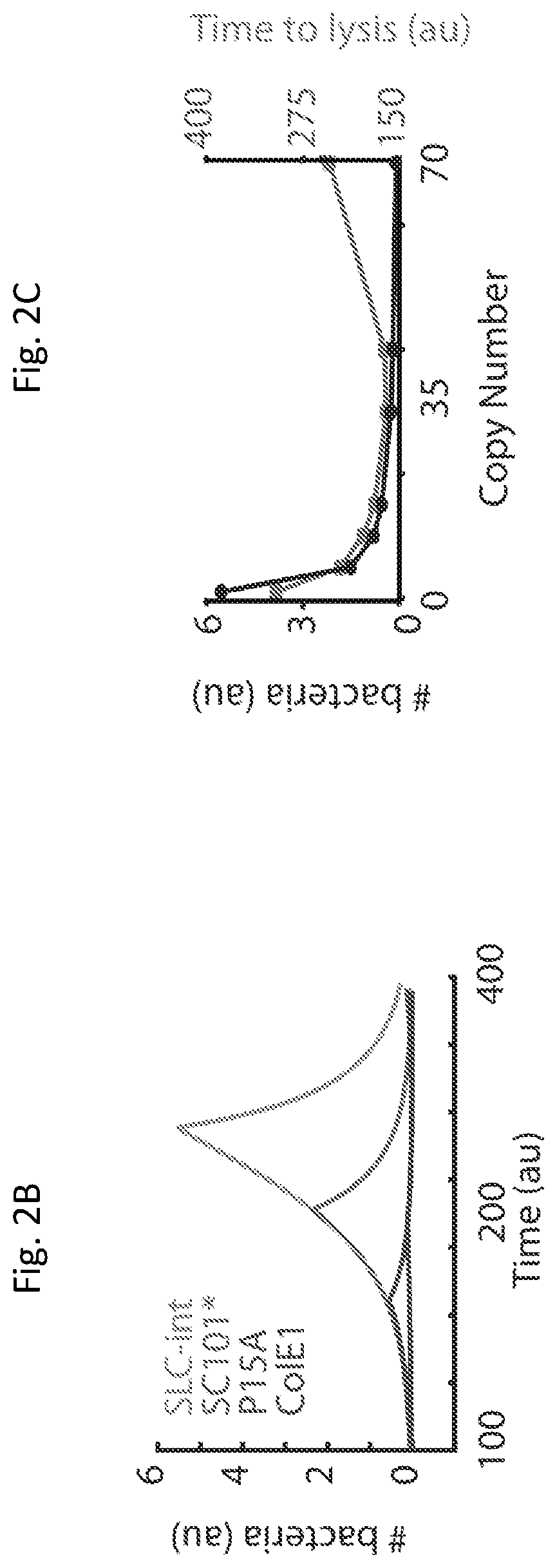 Patent US12350297 Figure 5 – Programmable bacteria for the treatment of cancer