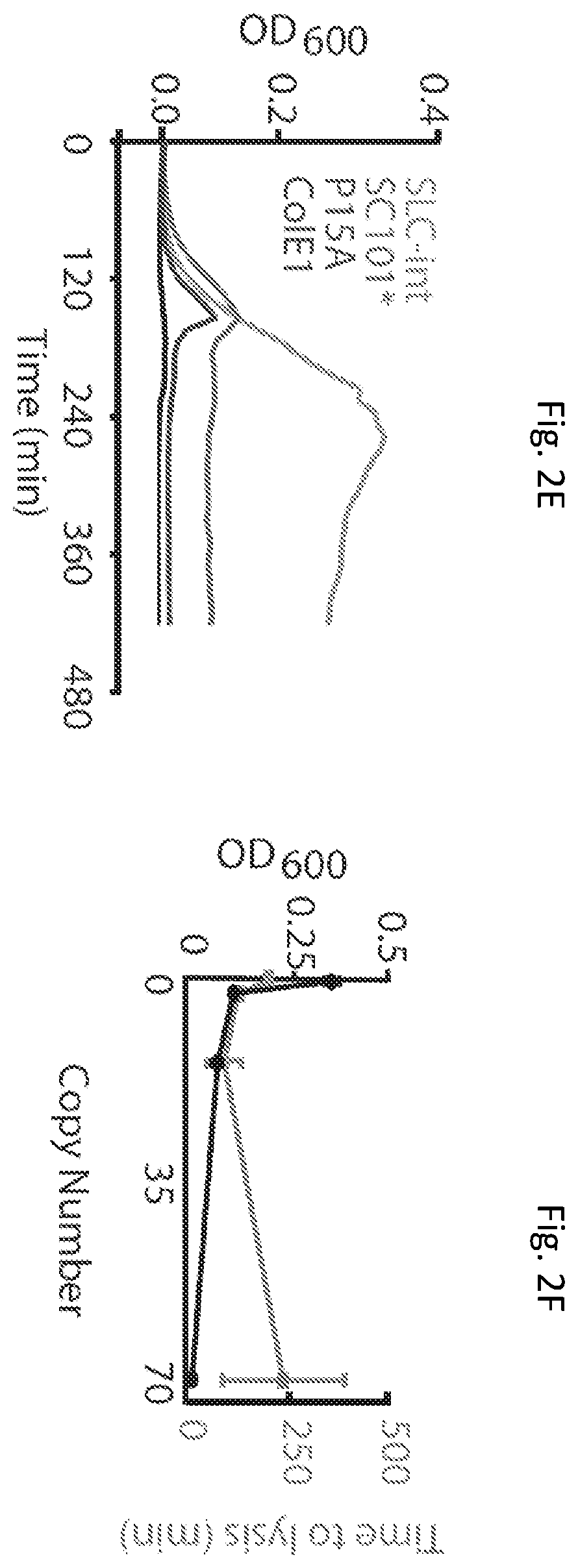 Patent US12350297 Figure 7 – Programmable bacteria for the treatment of cancer