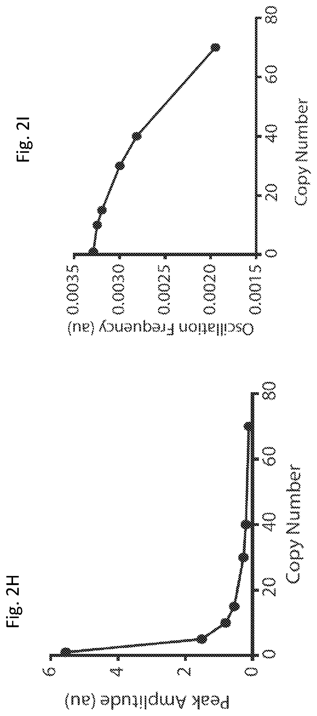 Patent US12350297 Figure 9 – Programmable bacteria for the treatment of cancer