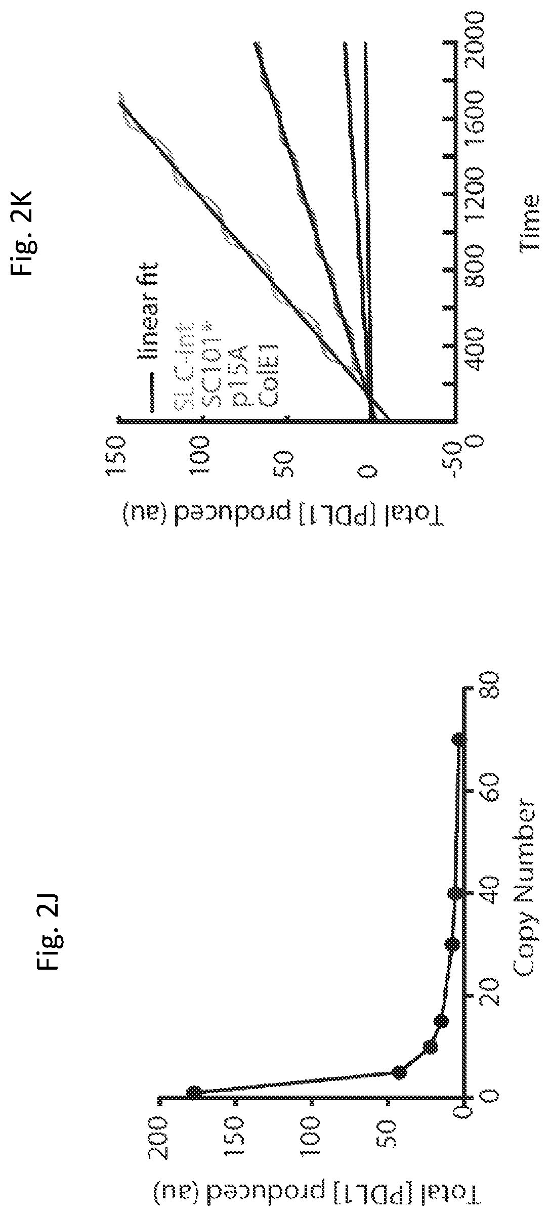 Patent US12350297 Figure 10 – Programmable bacteria for the treatment of cancer