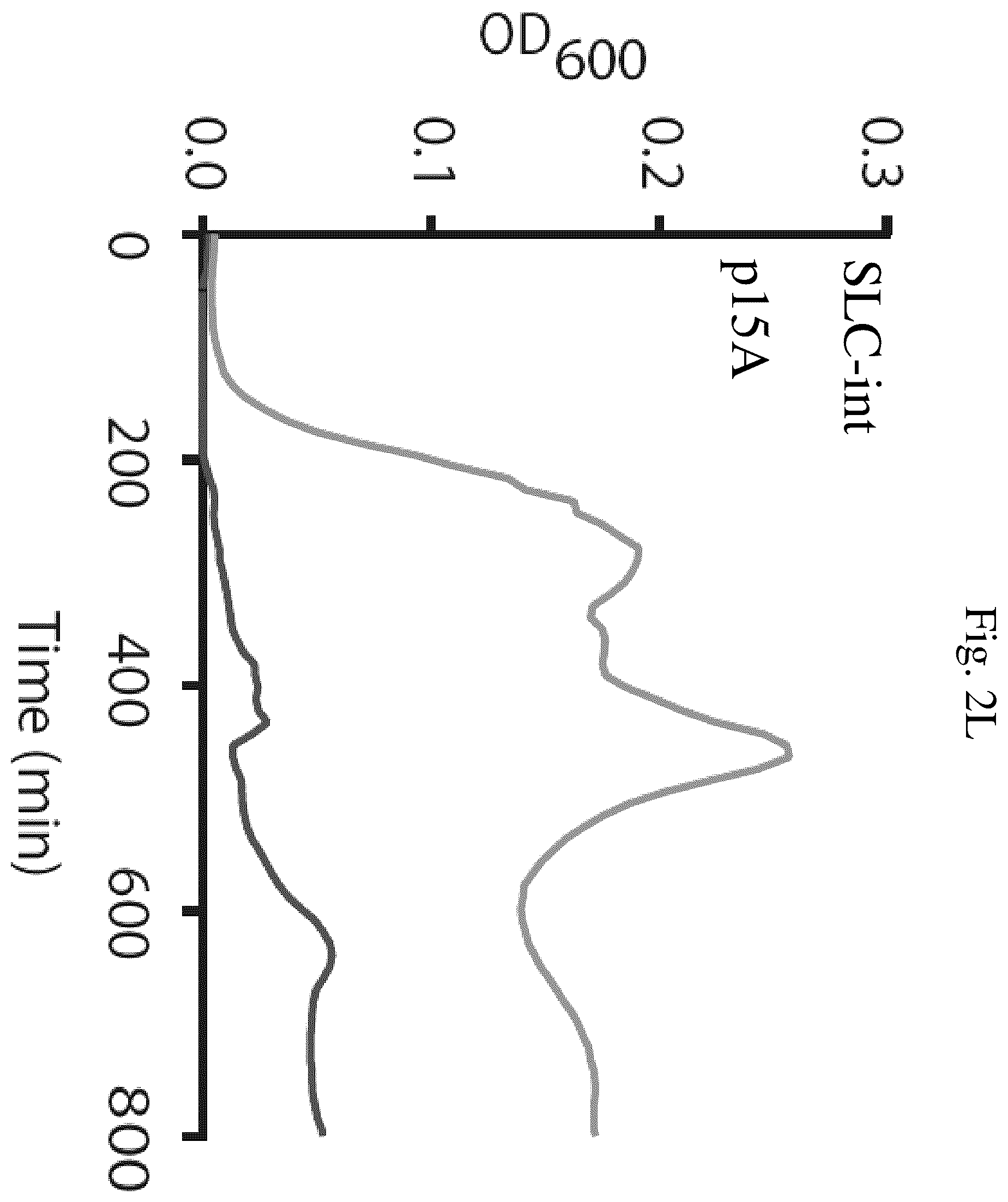 Patent US12350297 Figure 11 – Programmable bacteria for the treatment of cancer