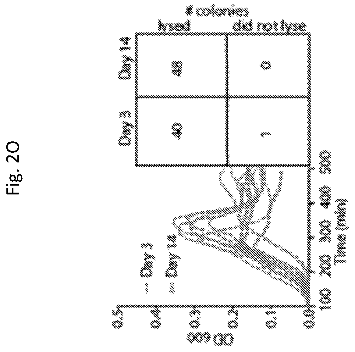 Patent US12350297 Figure 13 – Programmable bacteria for the treatment of cancer