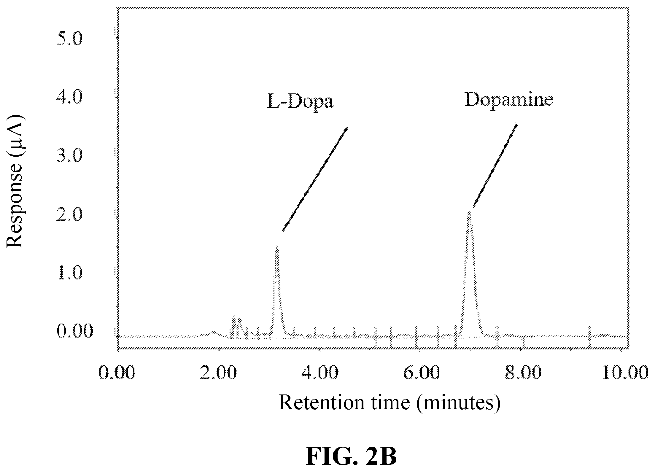 Patent US12350300 Figure 3 – Use of dopamine producing products to increase vaccine efficacy