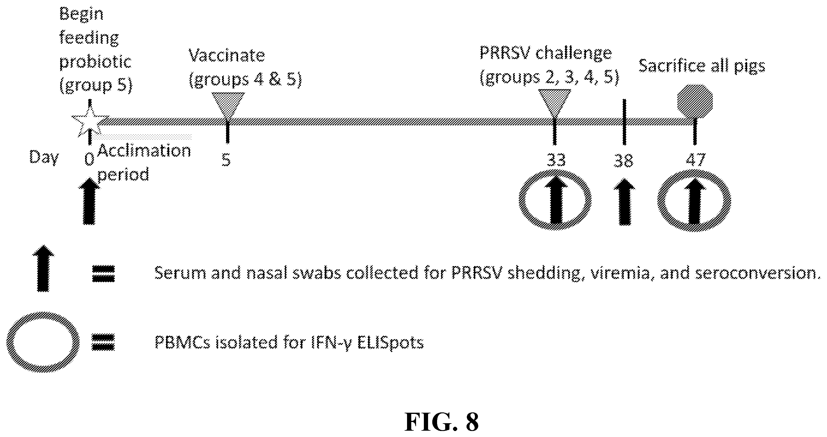 Patent US12350300 Figure 11 – Use of dopamine producing products to increase vaccine efficacy
