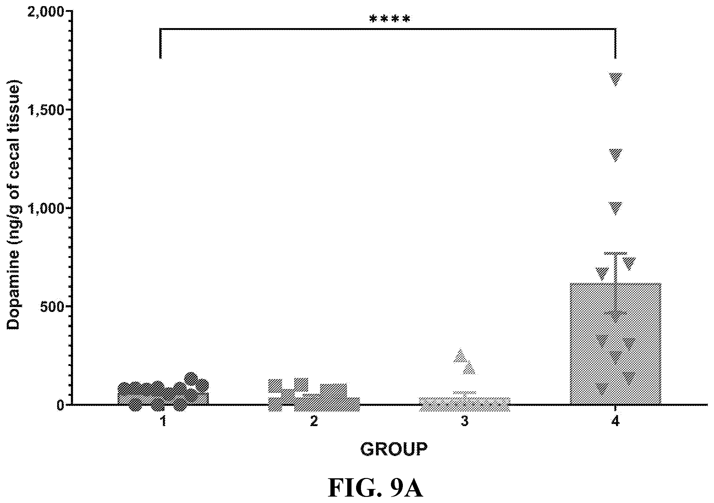 Patent US12350300 Figure 12 – Use of dopamine producing products to increase vaccine efficacy