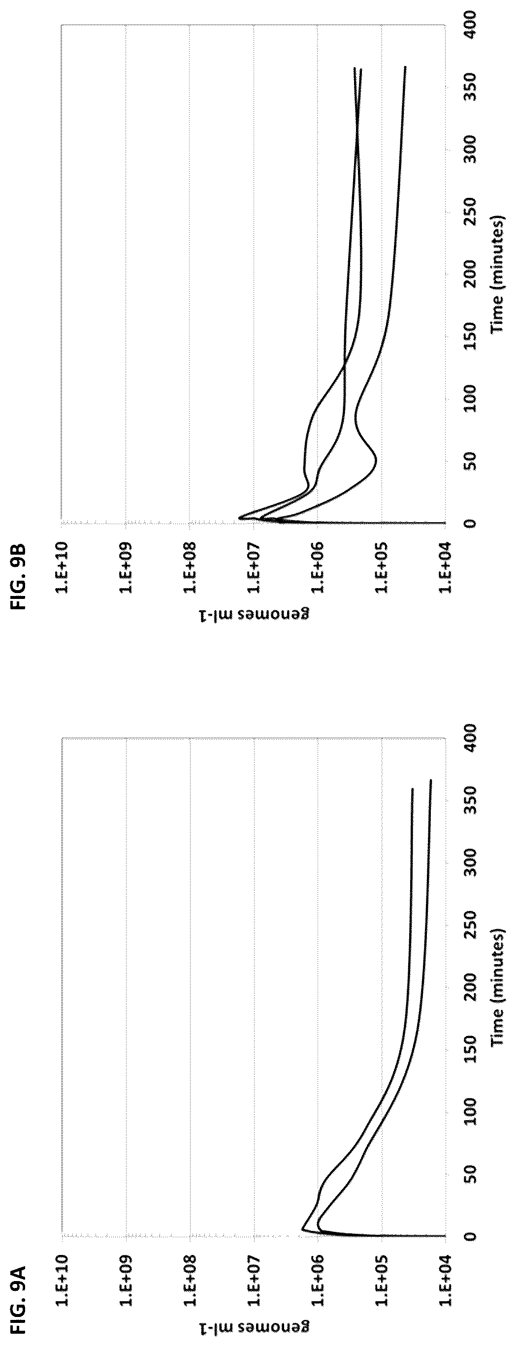 Patent US12350302 Figure 12 – Dosing regime and formulations for type B adenoviruses