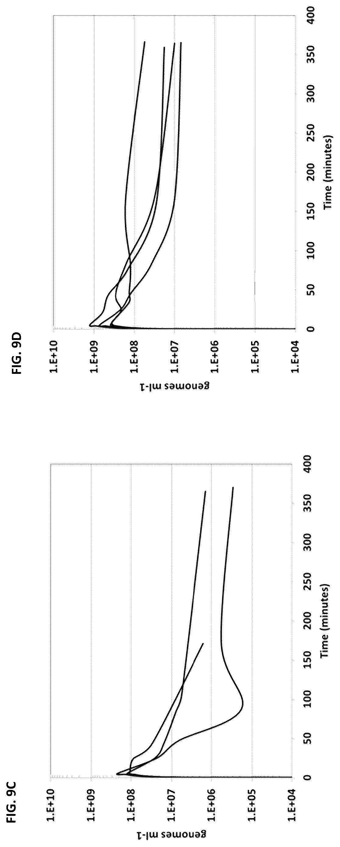 Patent US12350302 Figure 13 – Dosing regime and formulations for type B adenoviruses
