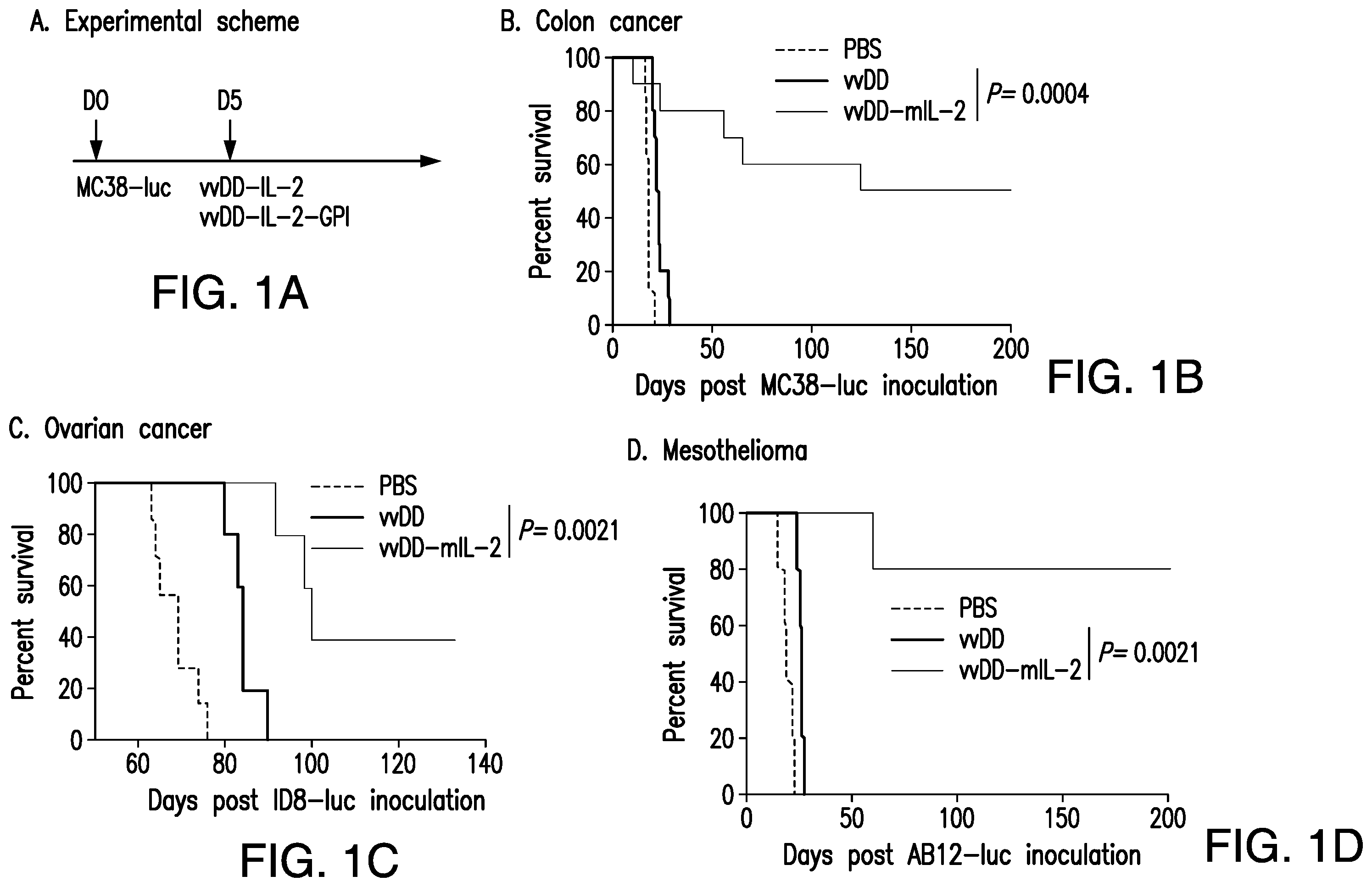 Patent US12350303 Figure 1 – Oncolytic virus therapy