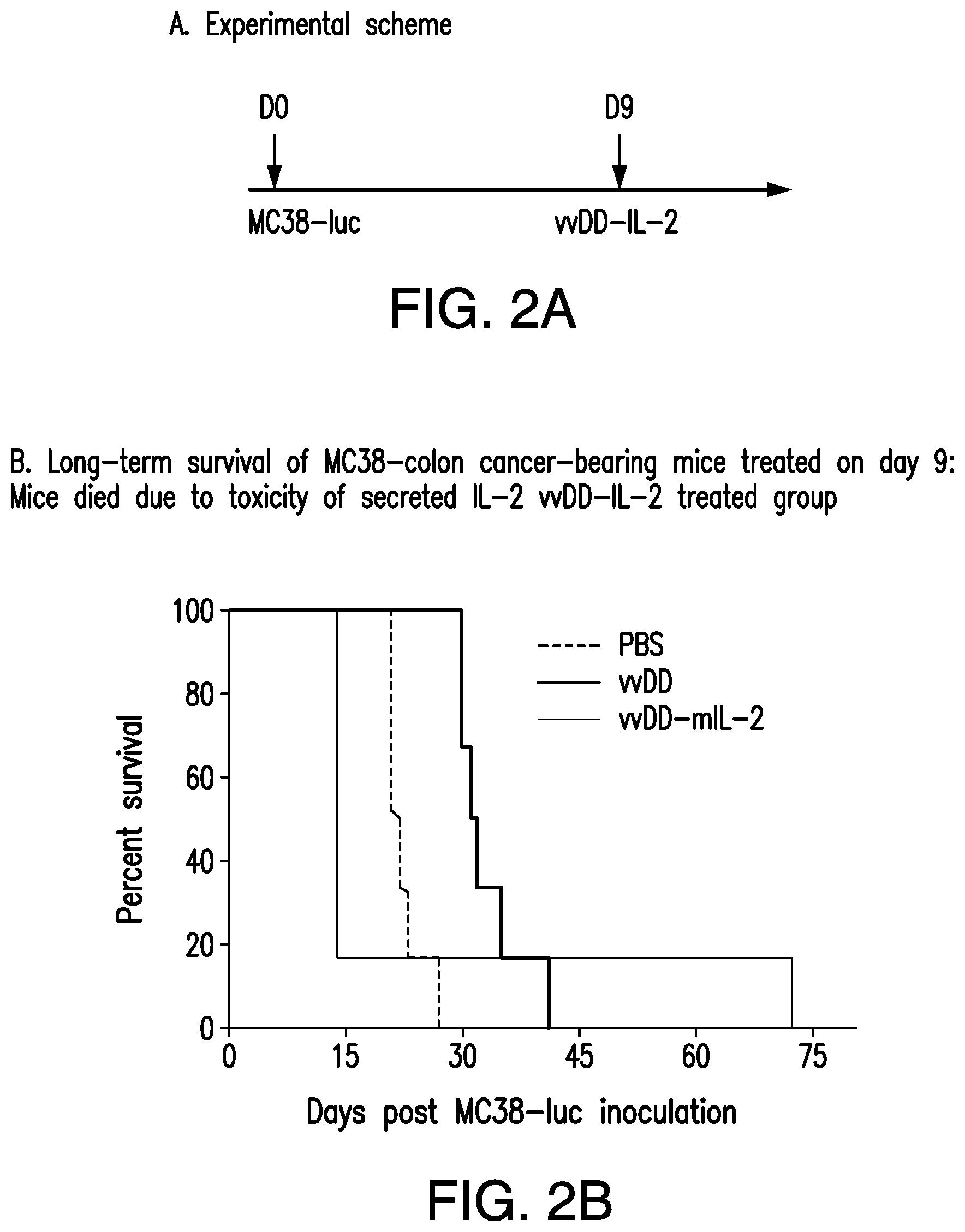 Patent US12350303 Figure 2 – Oncolytic virus therapy