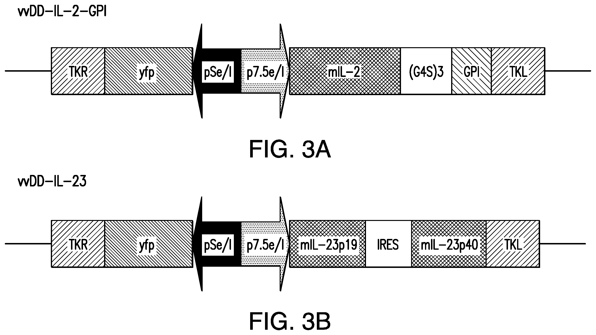 Patent US12350303 Figure 3 – Oncolytic virus therapy