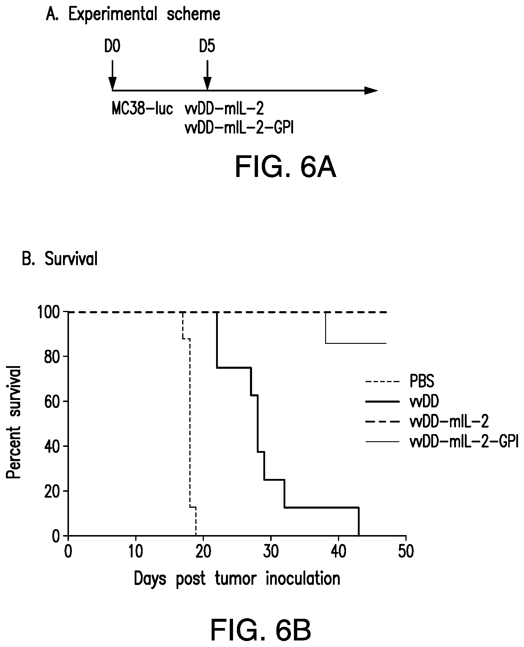 Patent US12350303 Figure 6 – Oncolytic virus therapy