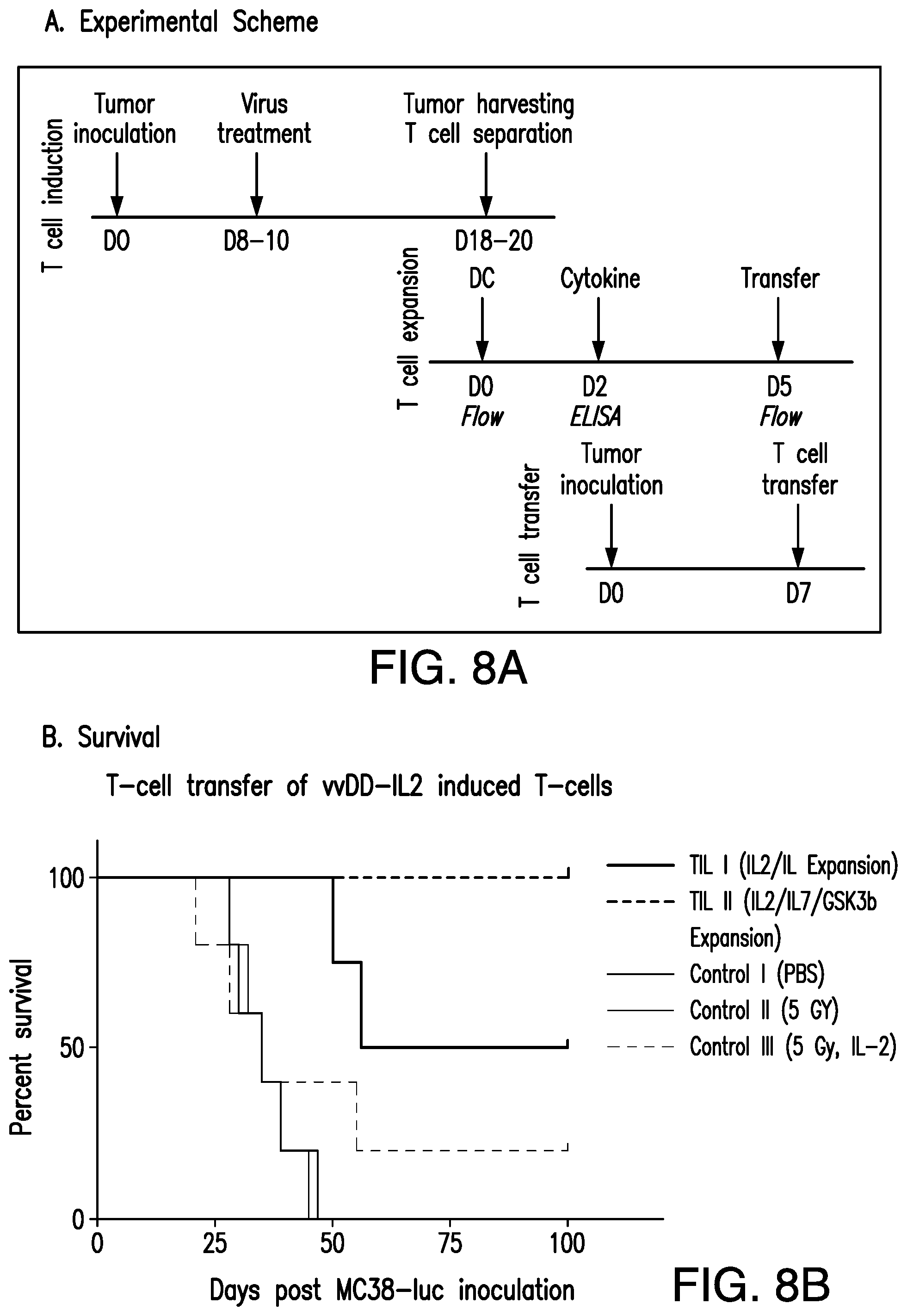 Patent US12350303 Figure 8 – Oncolytic virus therapy