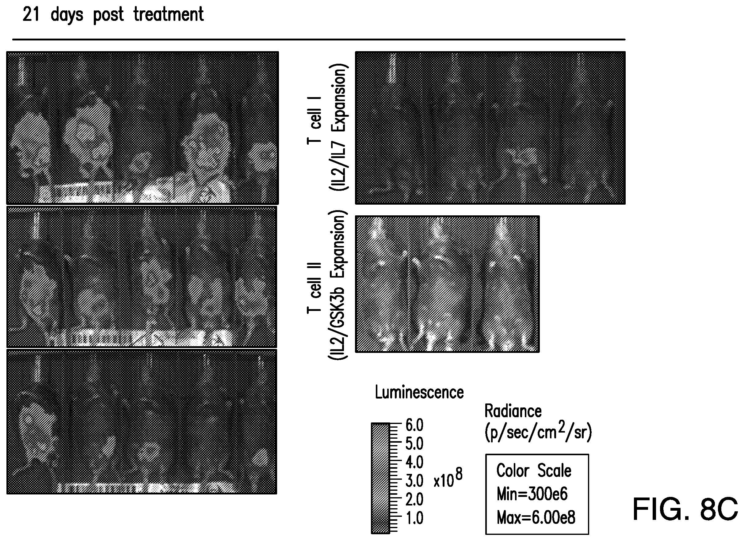 Patent US12350303 Figure 9 – Oncolytic virus therapy