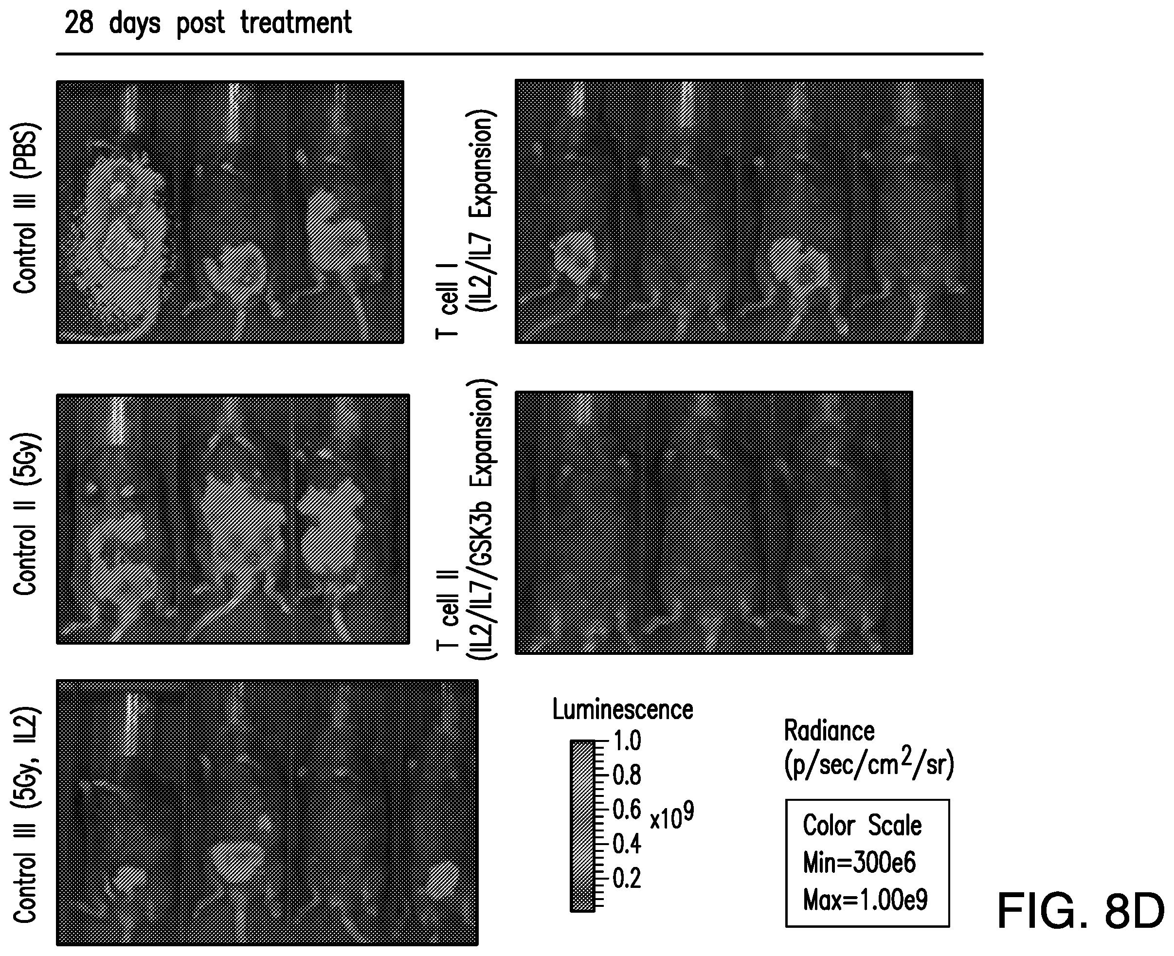 Patent US12350303 Figure 10 – Oncolytic virus therapy