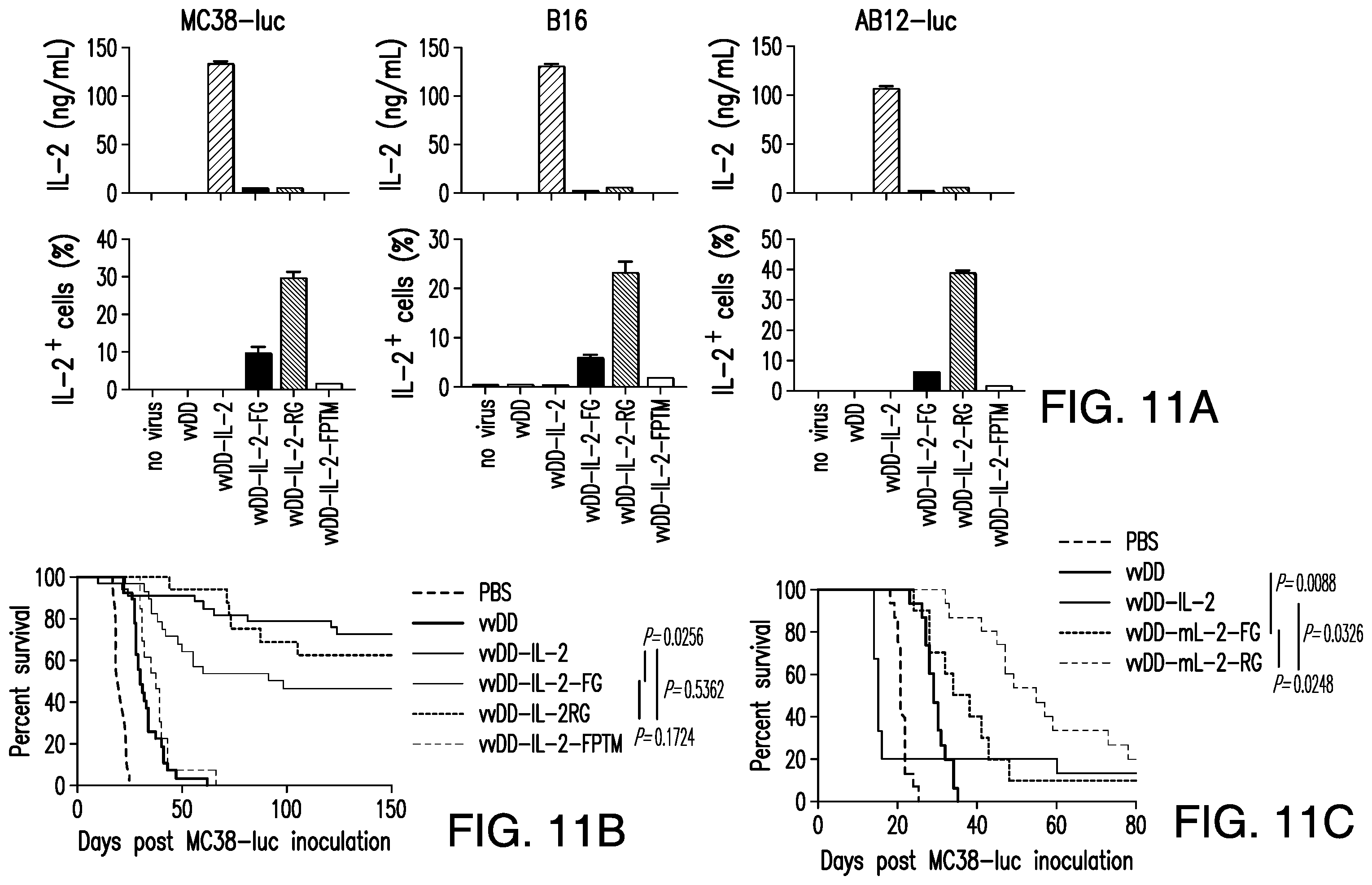 Patent US12350303 Figure 13 – Oncolytic virus therapy