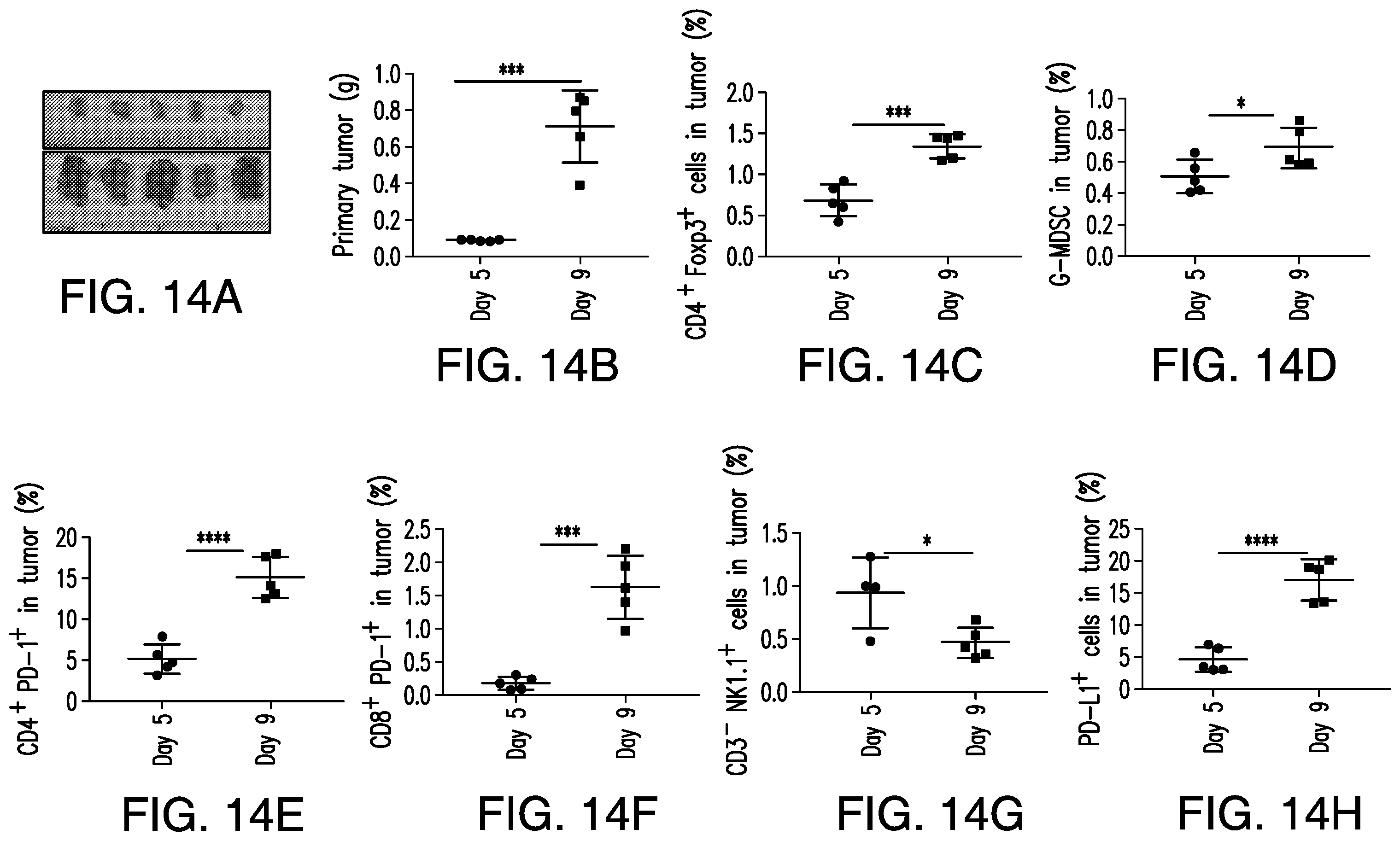 Patent US12350303 Figure 16 – Oncolytic virus therapy