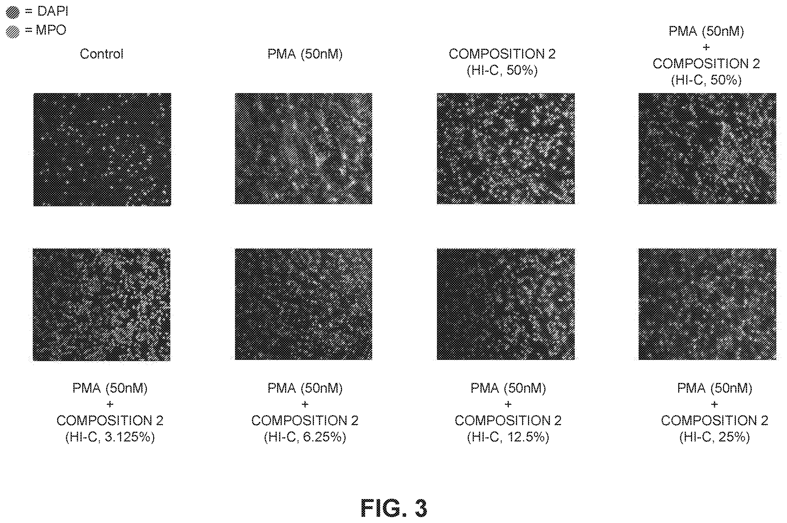 Patent US12350307 Figure 3 – Stable ascorbic acid compositions and methods of using same