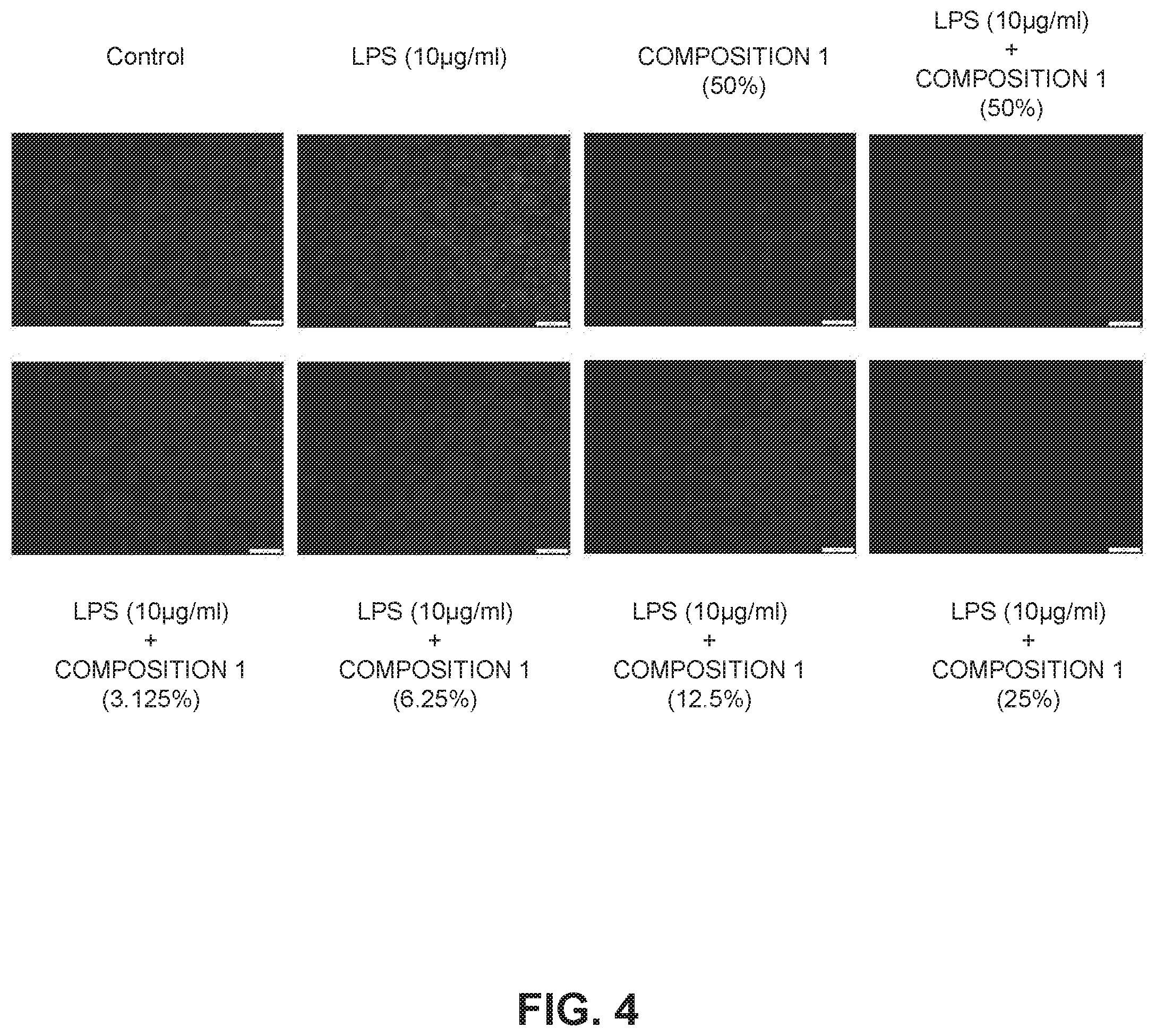 Patent US12350307 Figure 4 – Stable ascorbic acid compositions and methods of using same