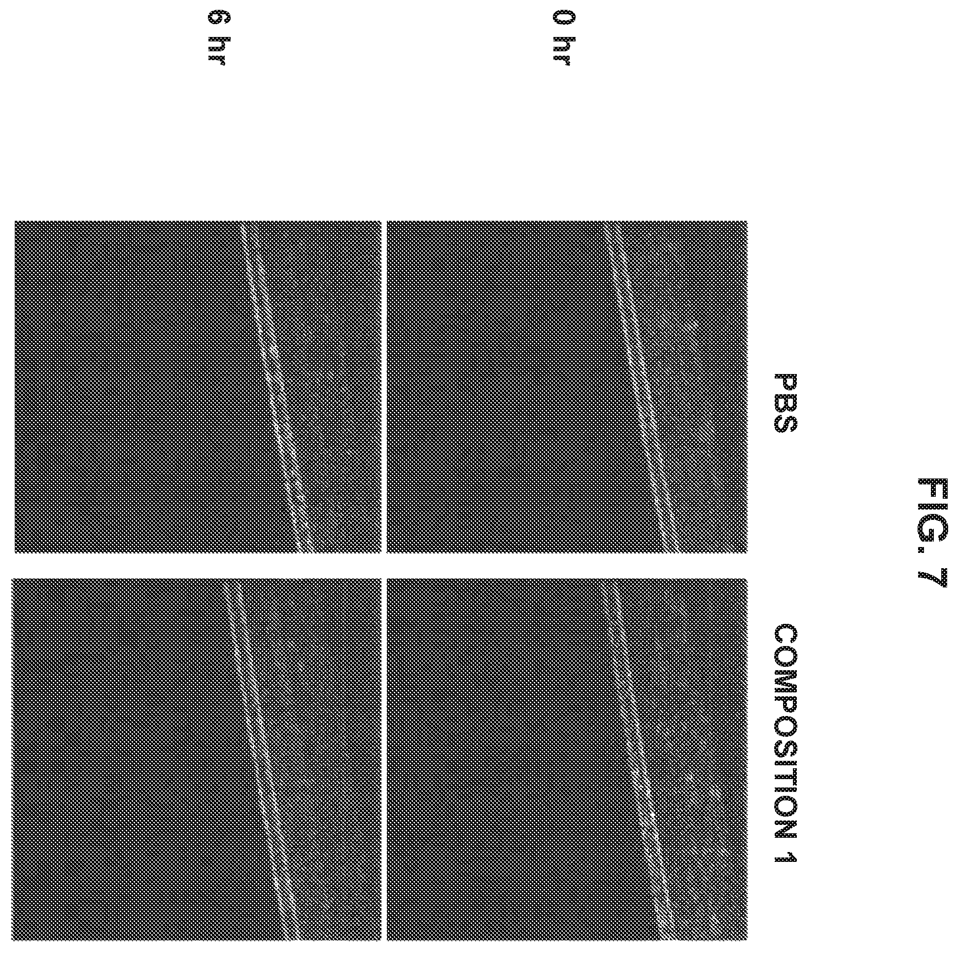 Patent US12350307 Figure 8 – Stable ascorbic acid compositions and methods of using same