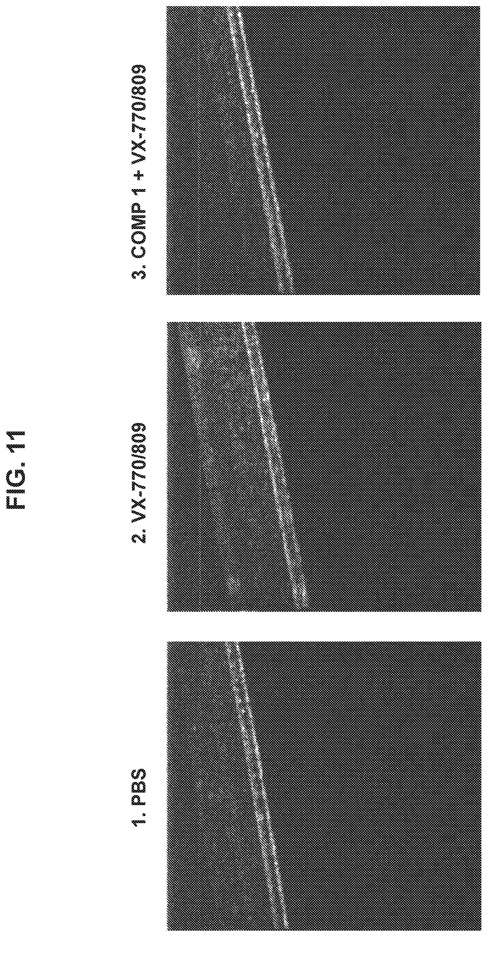 Patent US12350307 Figure 12 – Stable ascorbic acid compositions and methods of using same