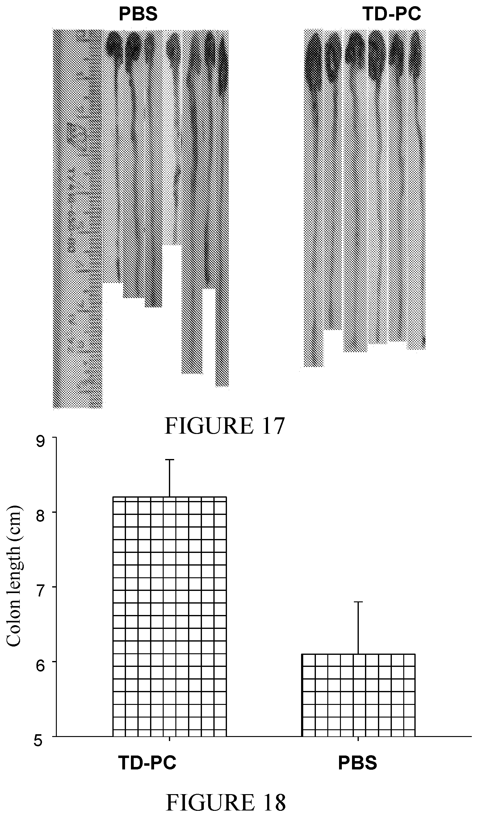 Patent US12350308 Figure 9 – Phosphorylcholine conjugates and uses thereof