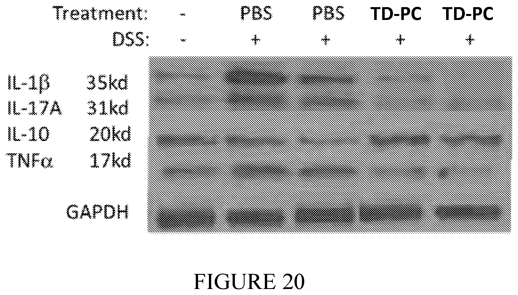 Patent US12350308 Figure 11 – Phosphorylcholine conjugates and uses thereof