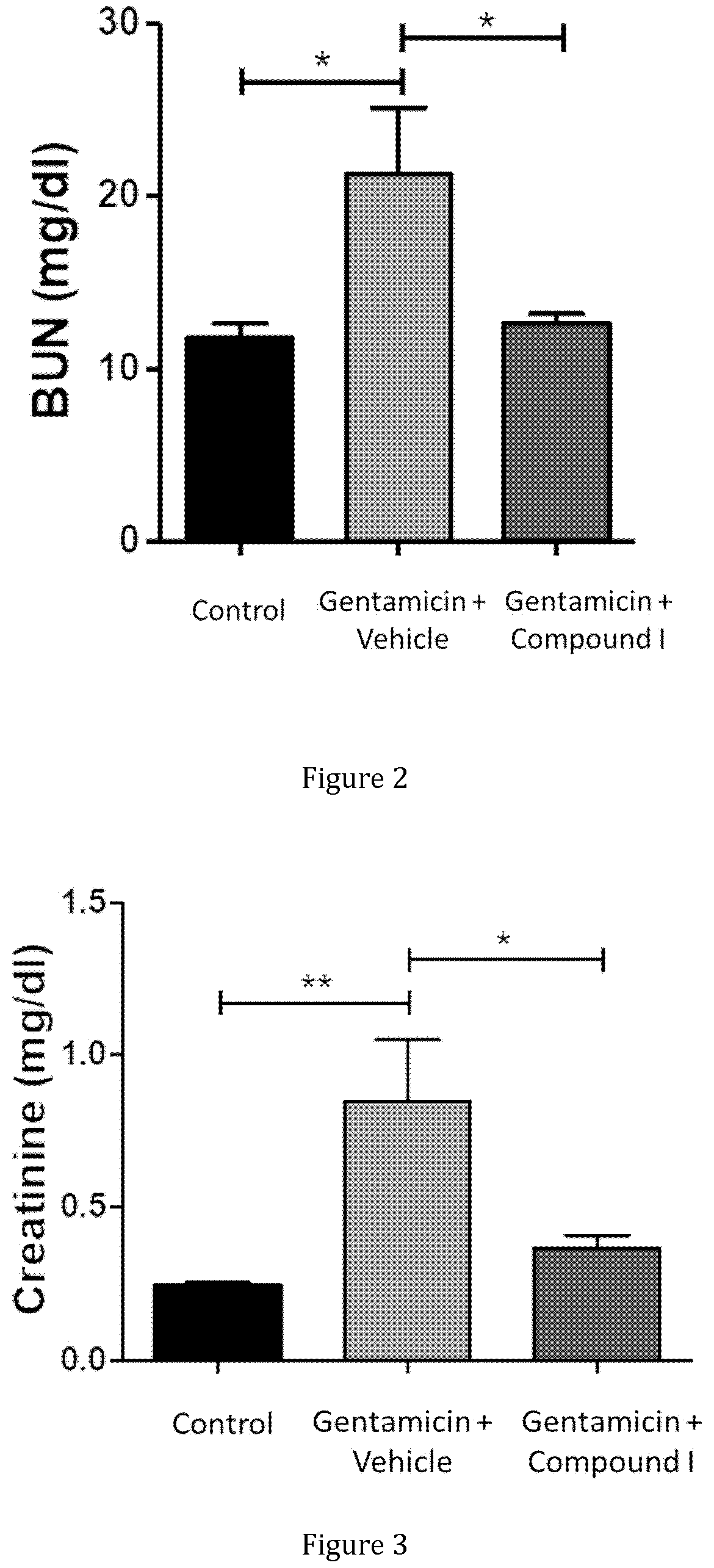Patent US12350310 Figure 2 – Treatment and prevention of nephrotoxin-induced kidney injuries