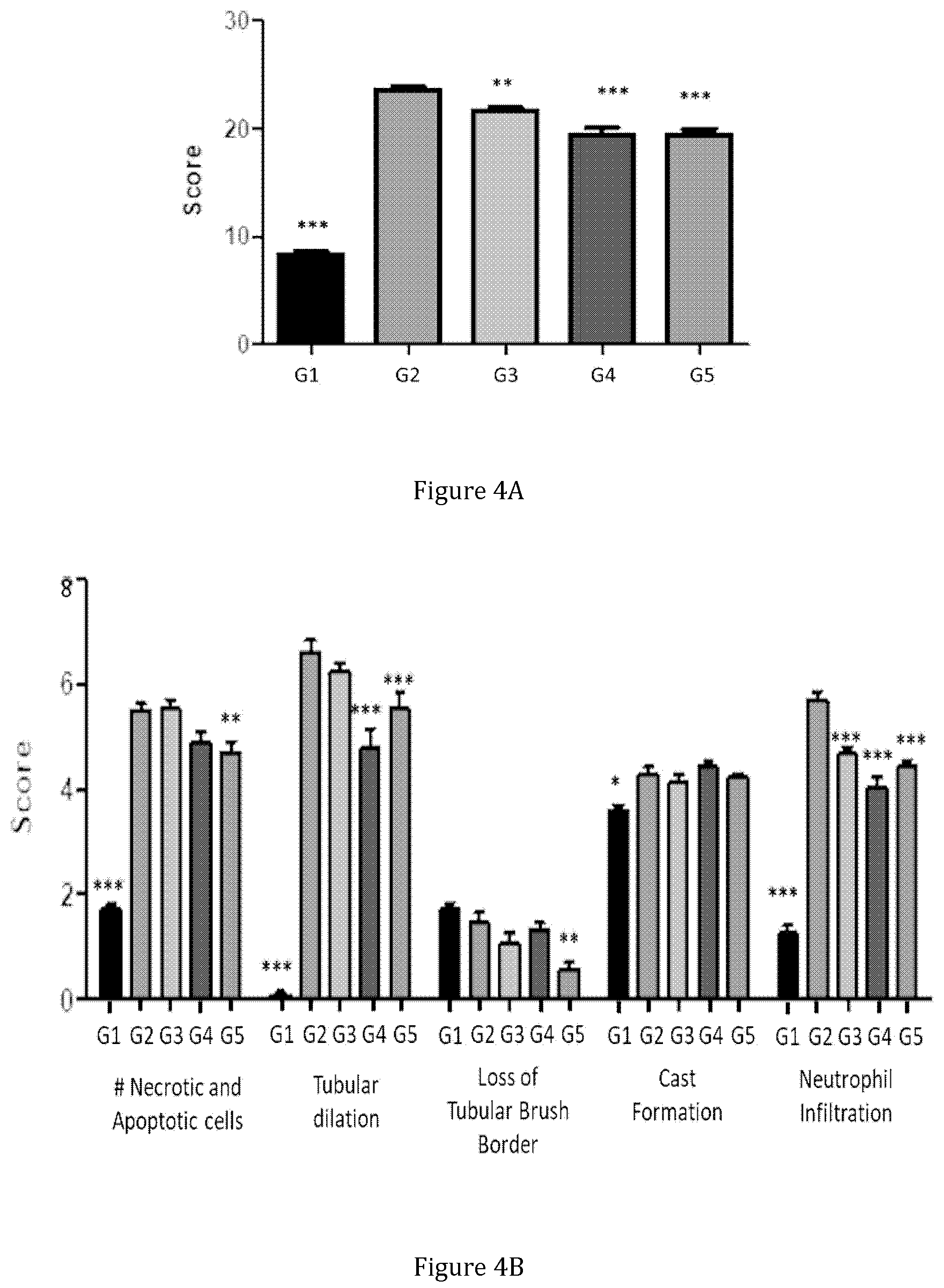 Patent US12350310 Figure 3 – Treatment and prevention of nephrotoxin-induced kidney injuries