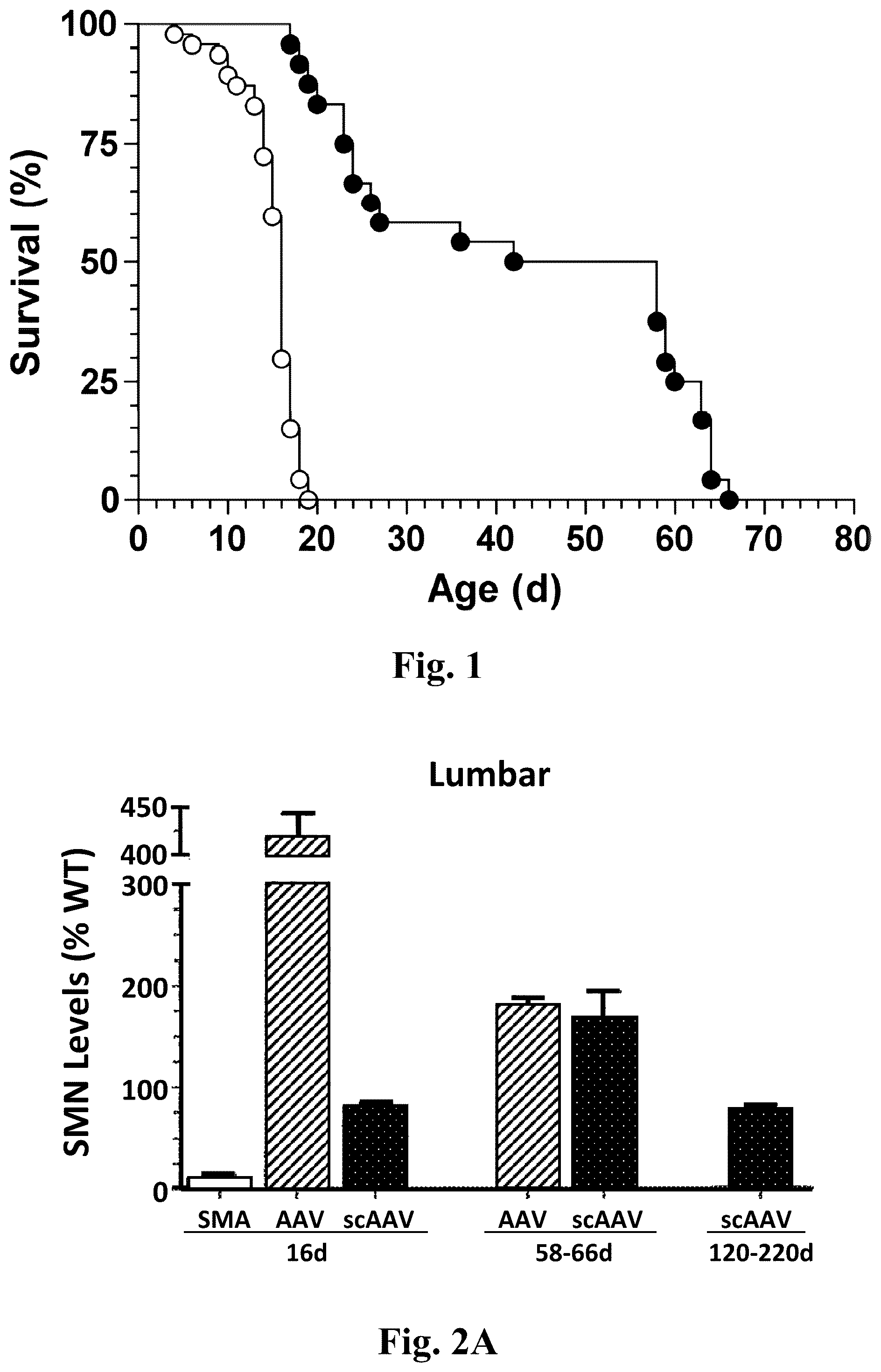 Patent US12350311 Figure 1 – Gene therapy for neurodegenerative disorders