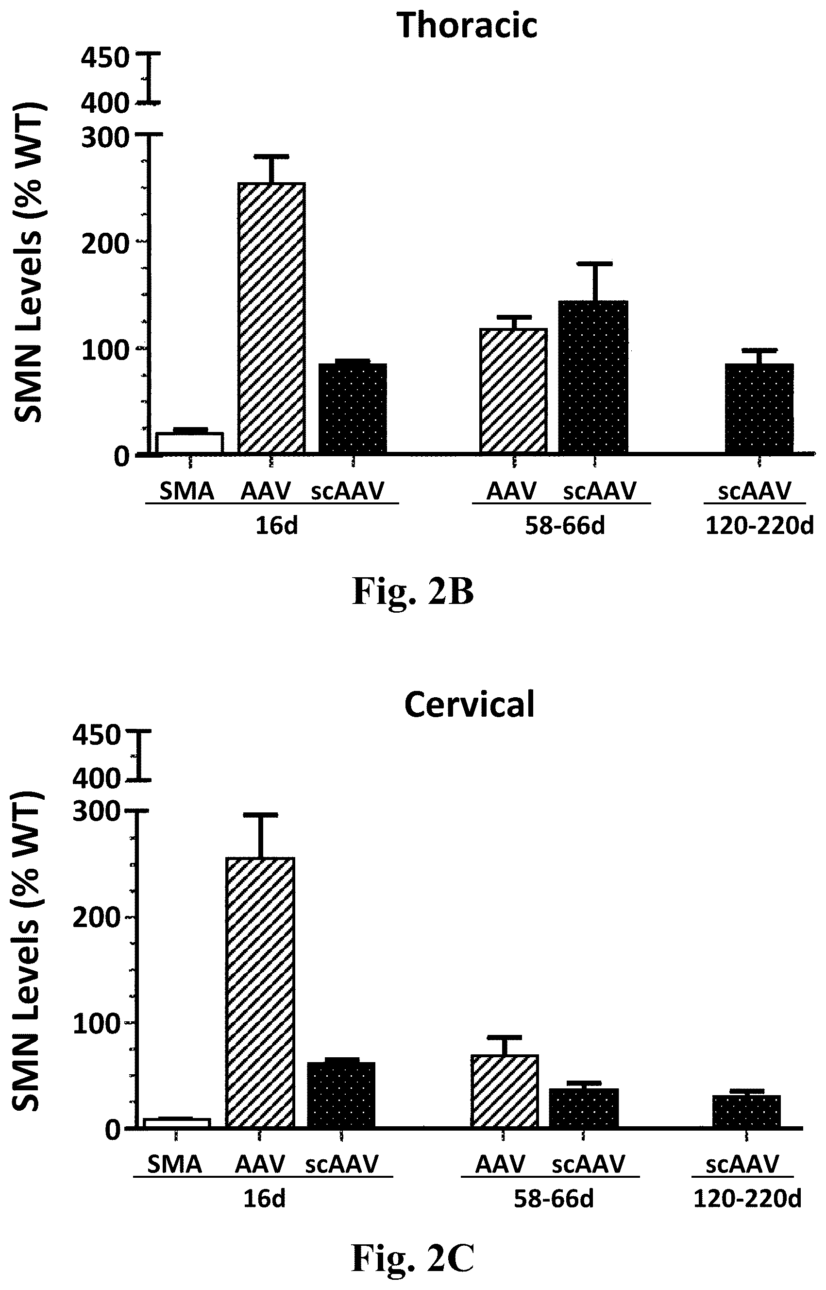 Patent US12350311 Figure 2 – Gene therapy for neurodegenerative disorders
