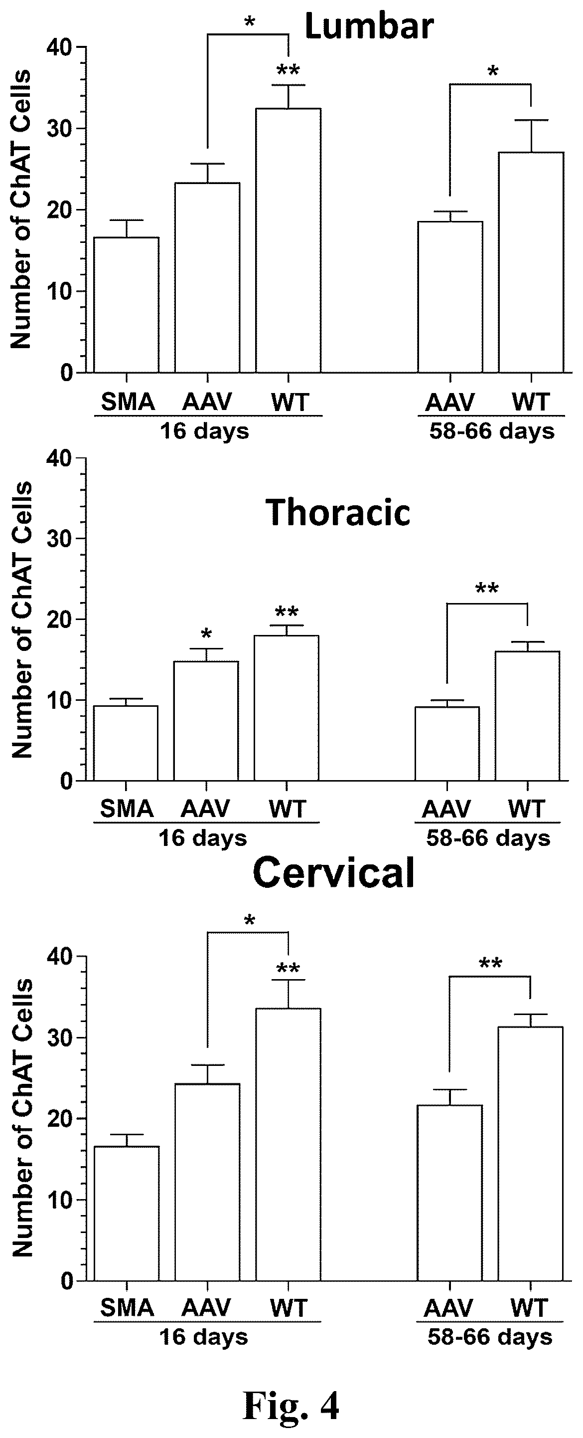 Patent US12350311 Figure 5 – Gene therapy for neurodegenerative disorders