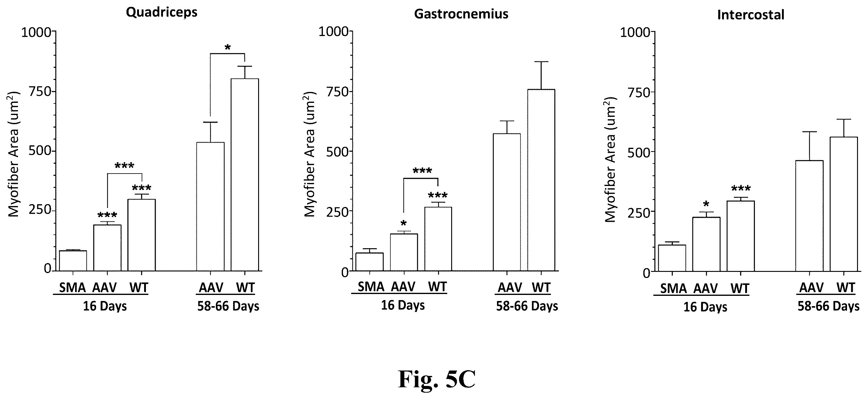 Patent US12350311 Figure 7 – Gene therapy for neurodegenerative disorders