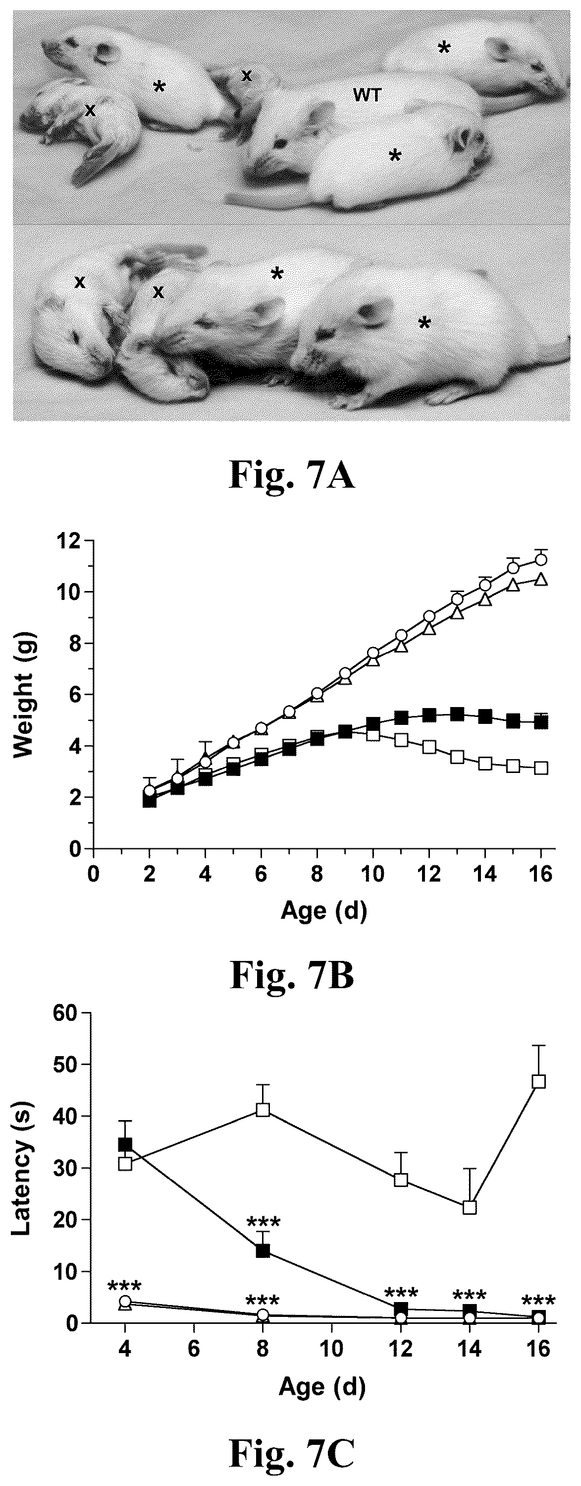 Patent US12350311 Figure 9 – Gene therapy for neurodegenerative disorders