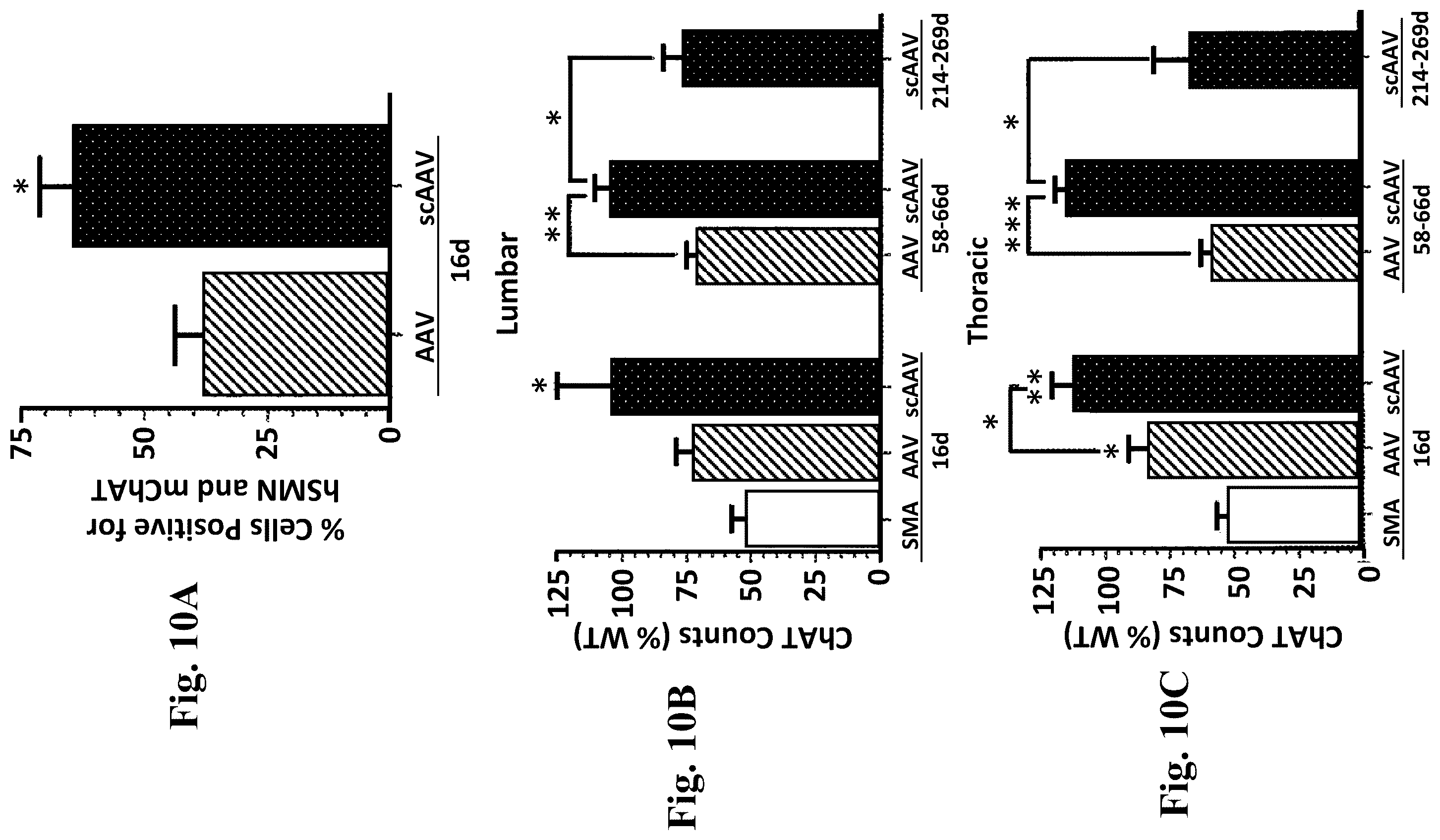 Patent US12350311 Figure 13 – Gene therapy for neurodegenerative disorders