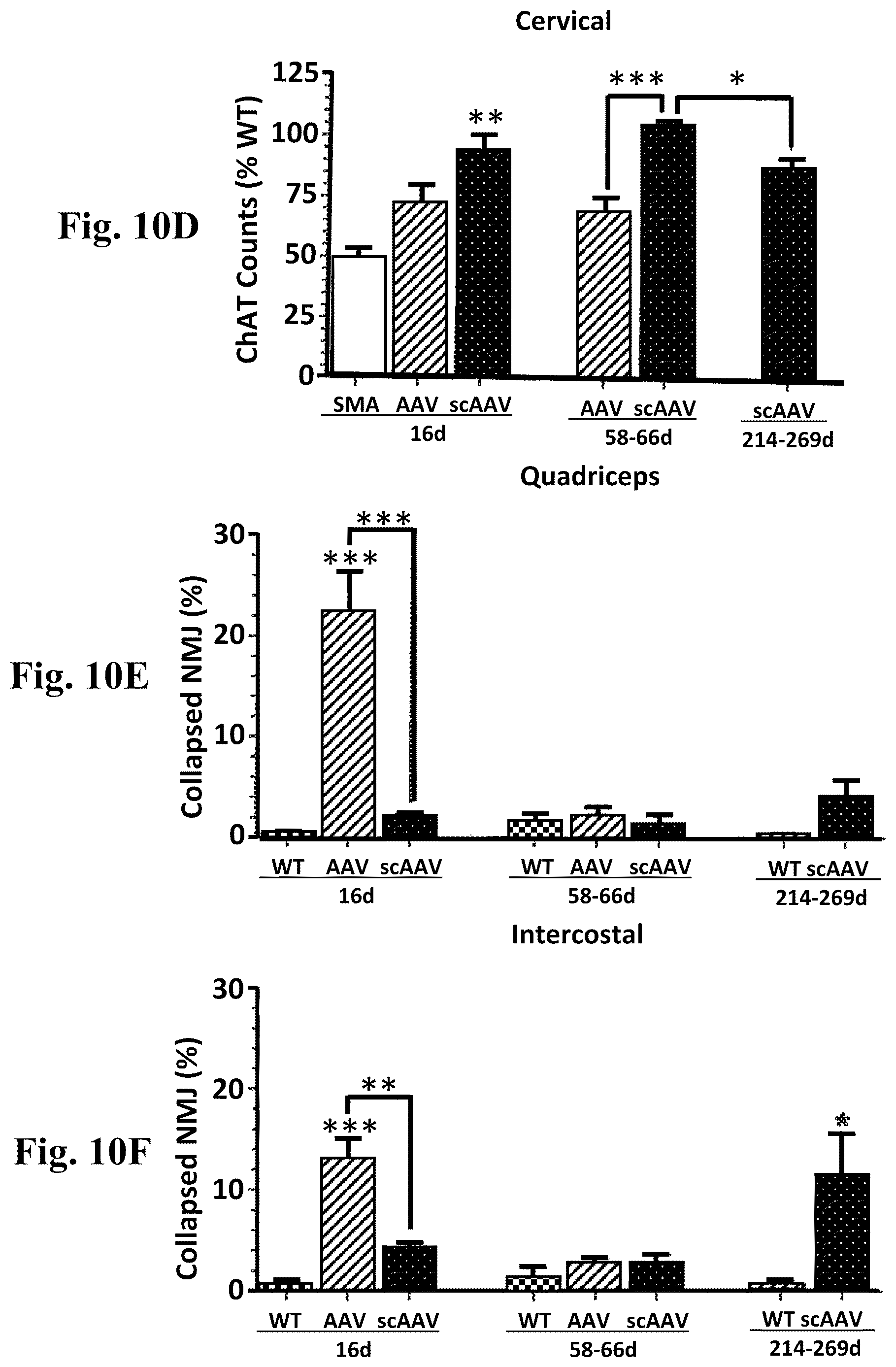 Patent US12350311 Figure 14 – Gene therapy for neurodegenerative disorders