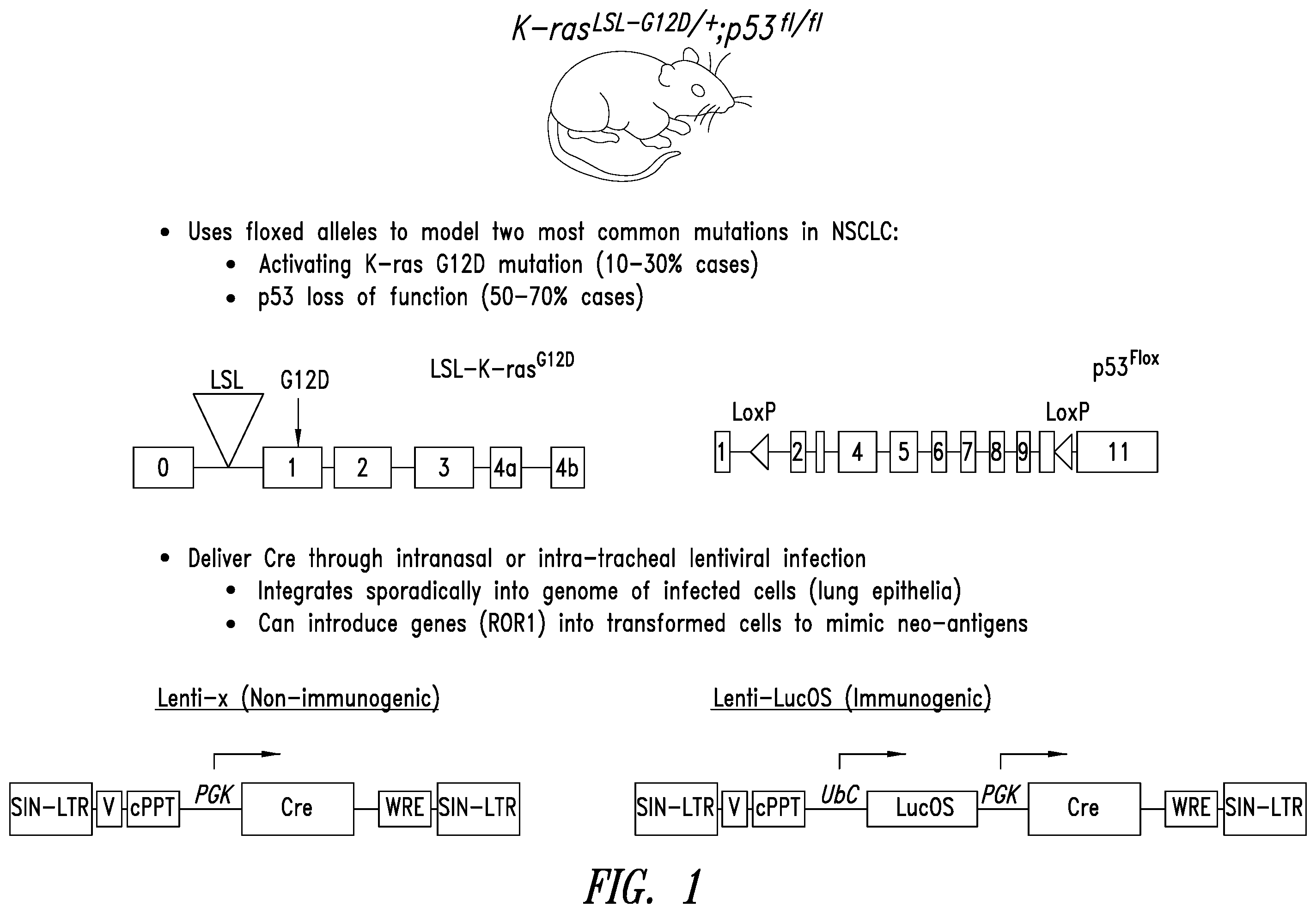 Patent US12350312 Figure 1 – Methods for improving adoptive cell therapy