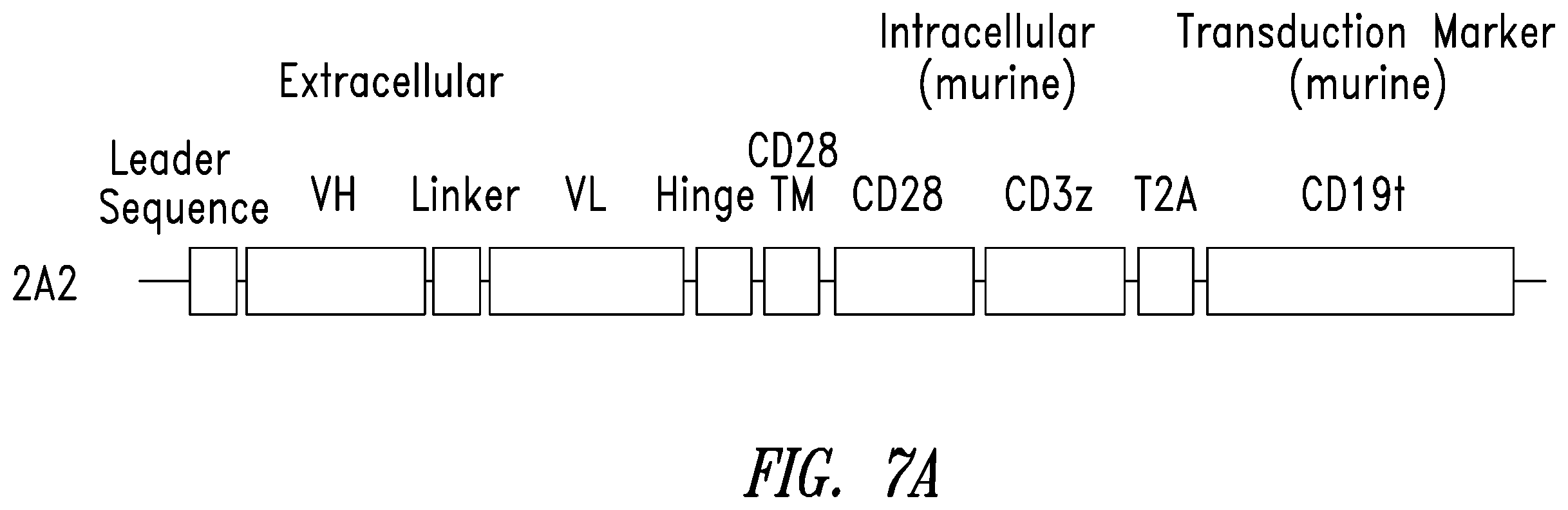 Patent US12350312 Figure 17 – Methods for improving adoptive cell therapy