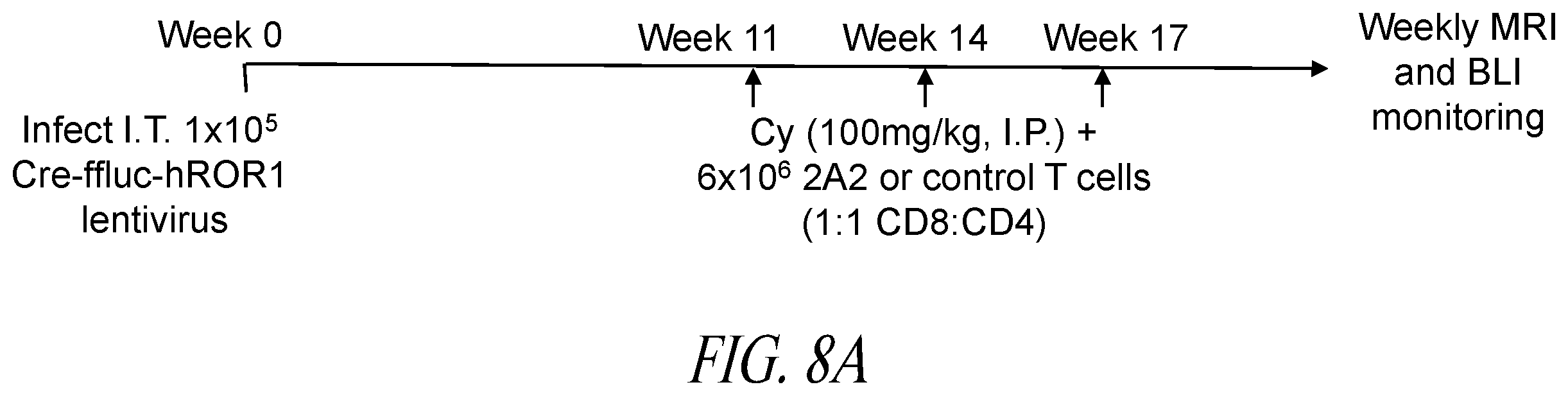 Patent US12350312 Figure 19 – Methods for improving adoptive cell therapy