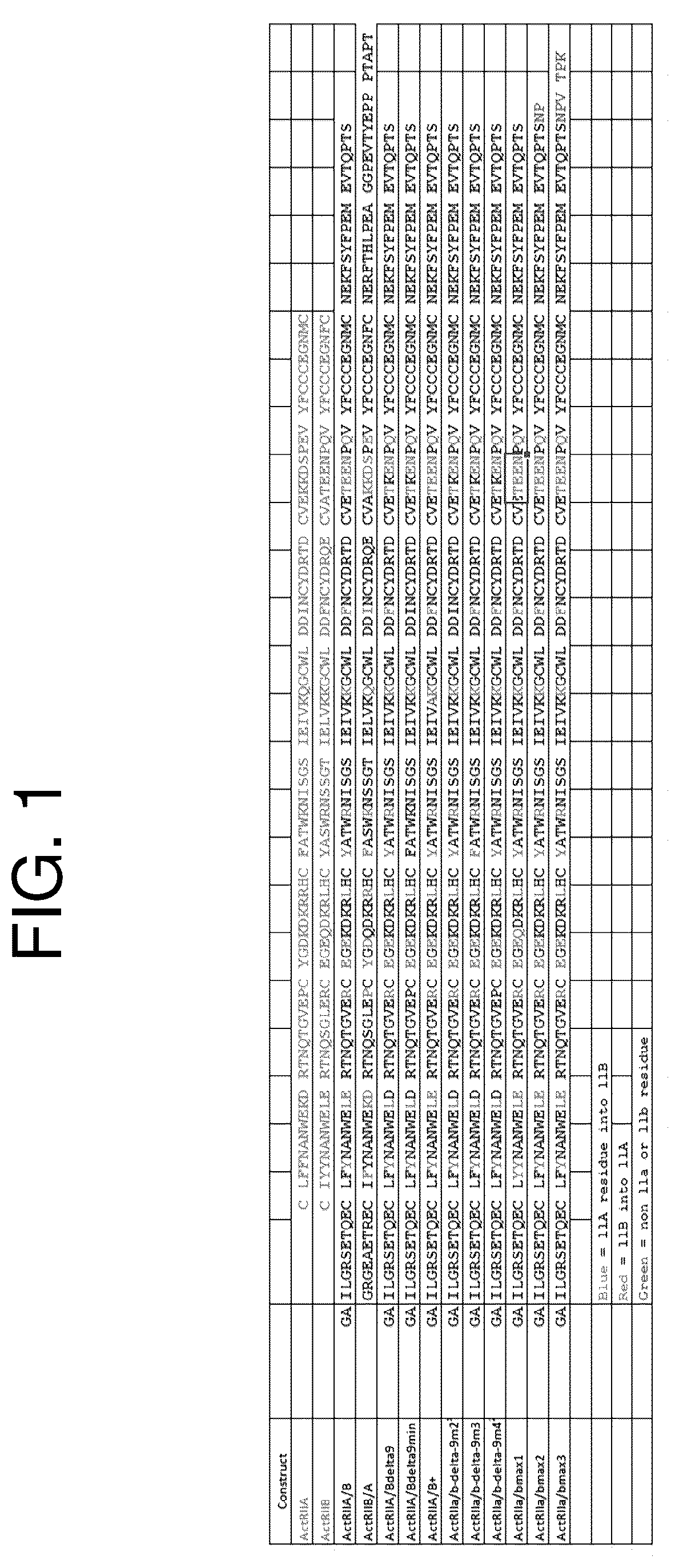 Patent US12350313 — Activin receptor type IIa variants and methods of use thereof — Figure 1