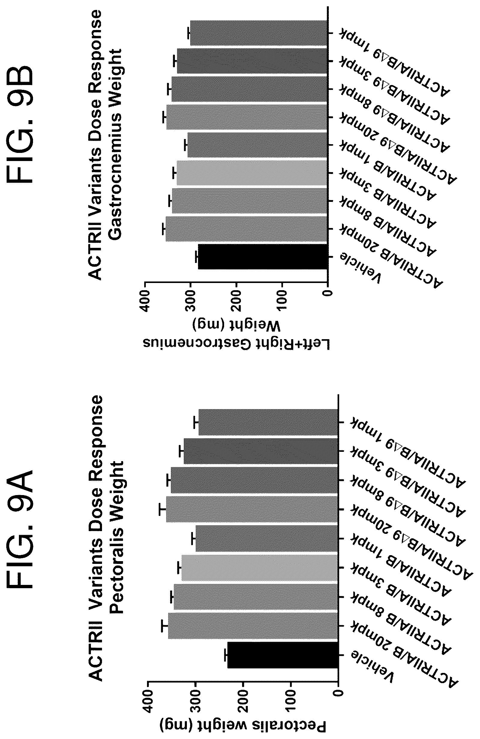 Patent US12350313 Figure 11 – Activin receptor type IIa variants and methods of use thereof