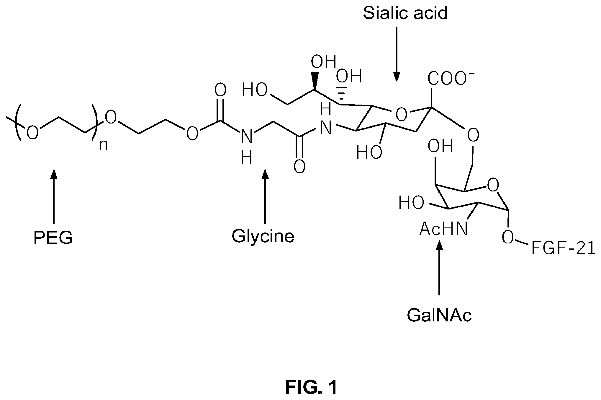 Patent US12350314 Figure 1 – Liquid formulations comprising mutant FGF-21 peptide pegylated conjugates