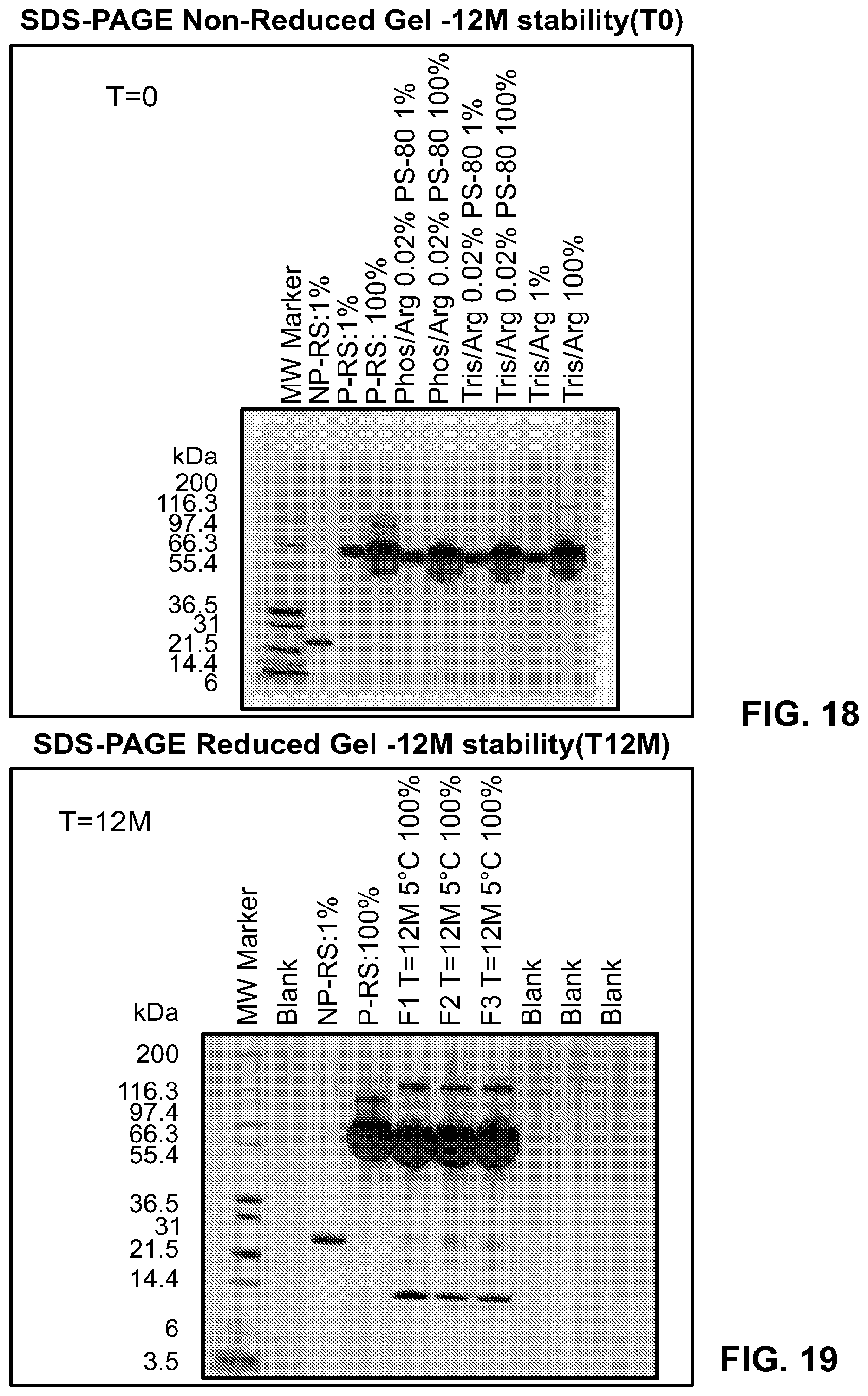 Patent US12350314 Figure 15 – Liquid formulations comprising mutant FGF-21 peptide pegylated conjugates