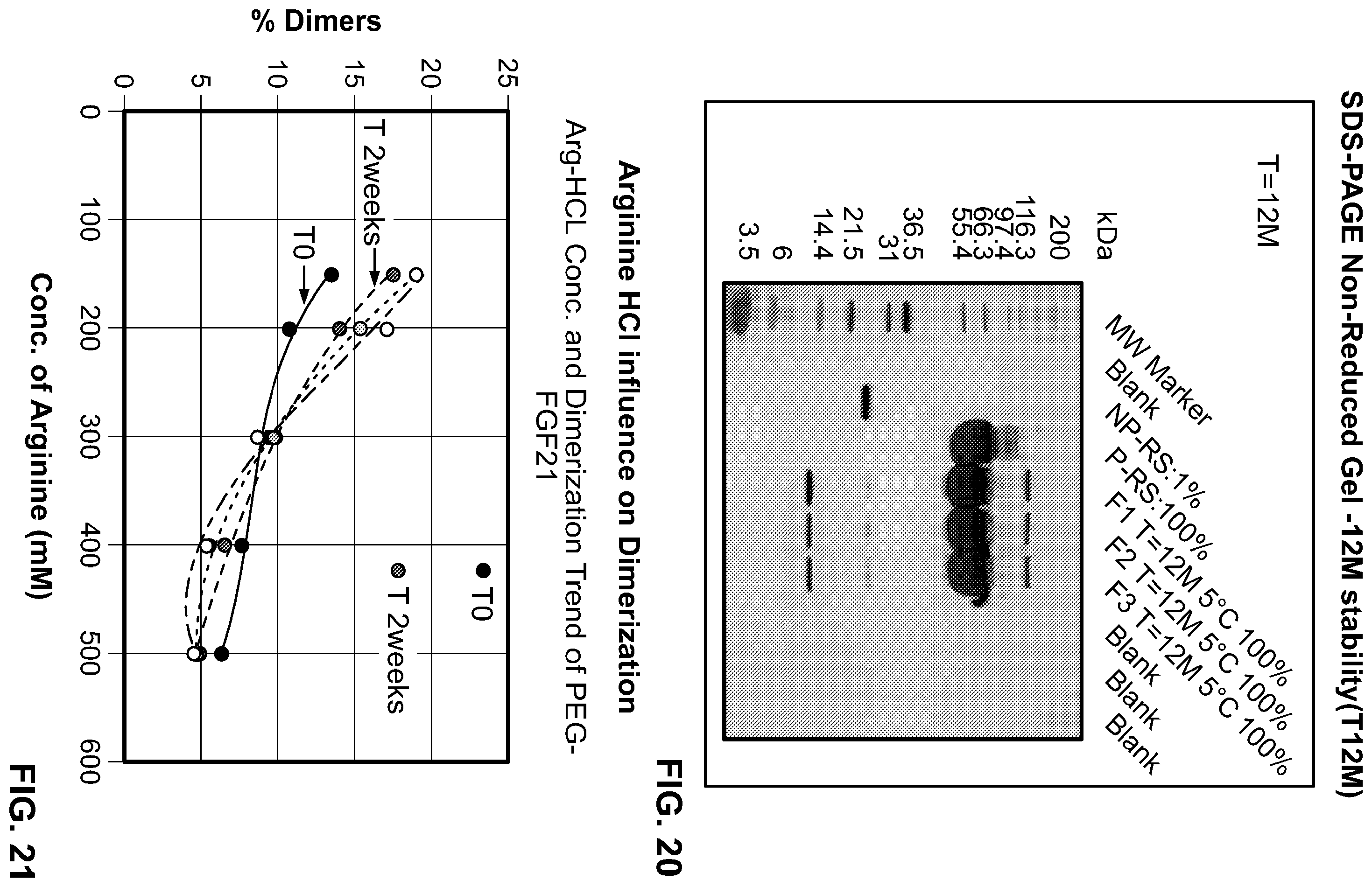 Patent US12350314 Figure 16 – Liquid formulations comprising mutant FGF-21 peptide pegylated conjugates