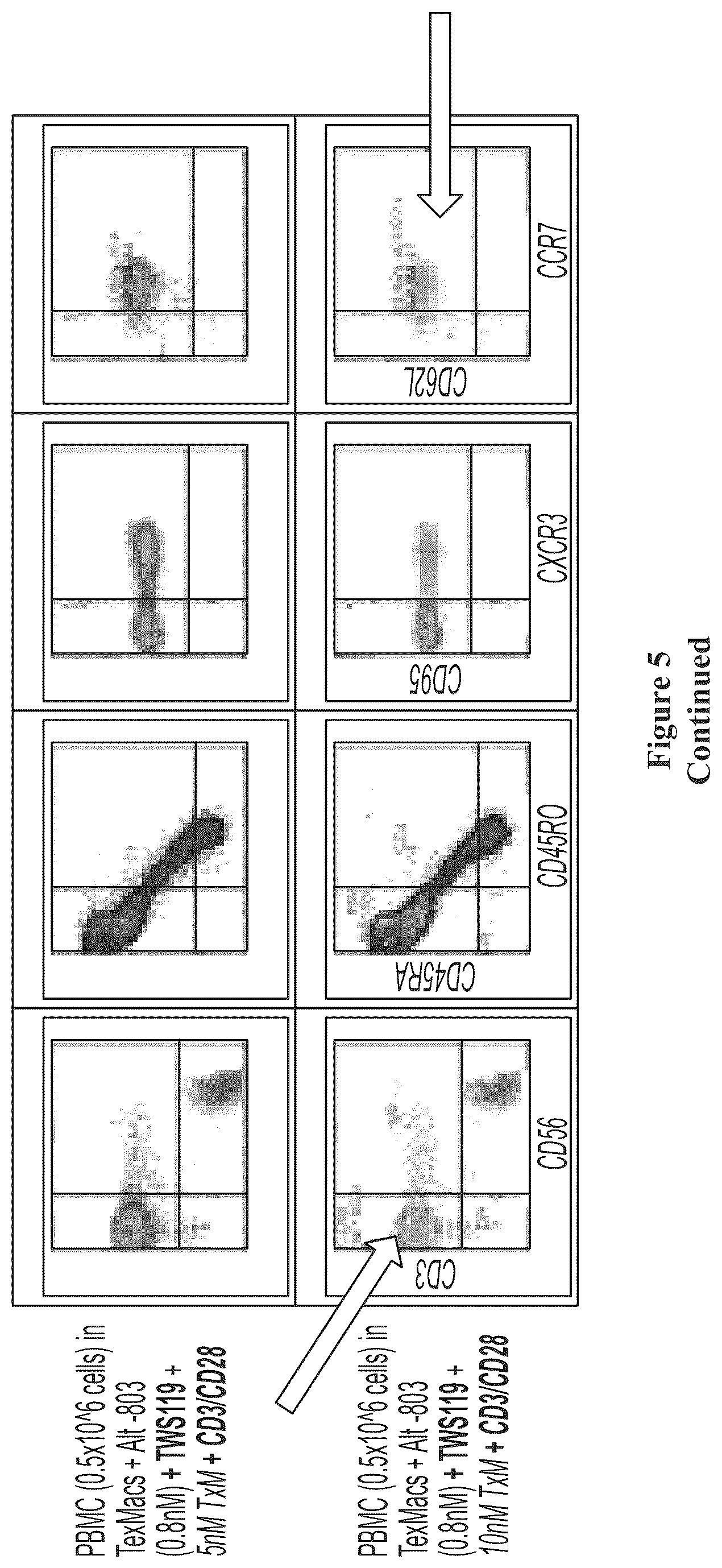 Patent US12350316 Figure 7 – IL7-IL 15 TxM compositions and methods