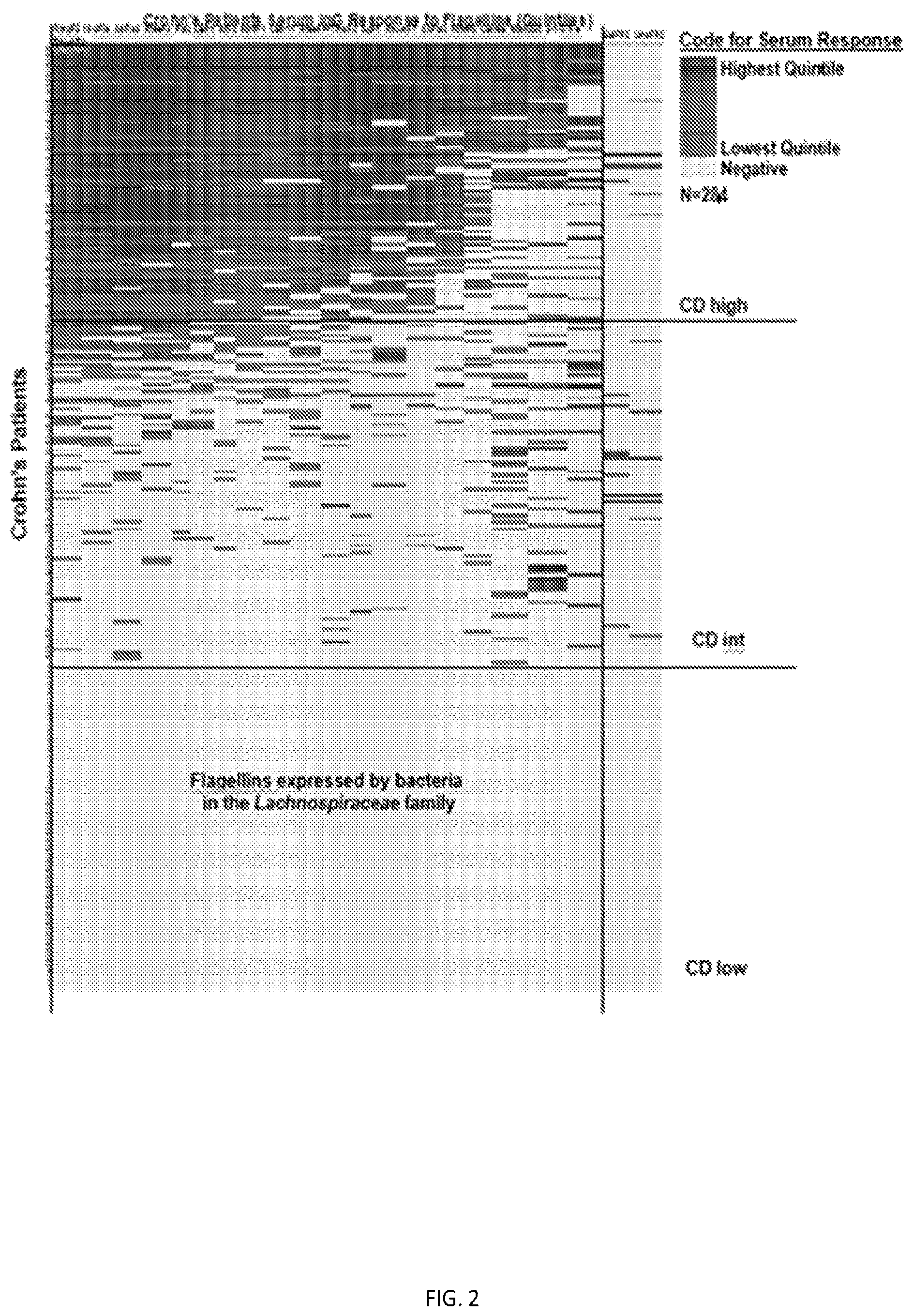 Patent US12350317 Figure 2 – Immunotherapy for the treatment and prevention of inflammatory bowel disease