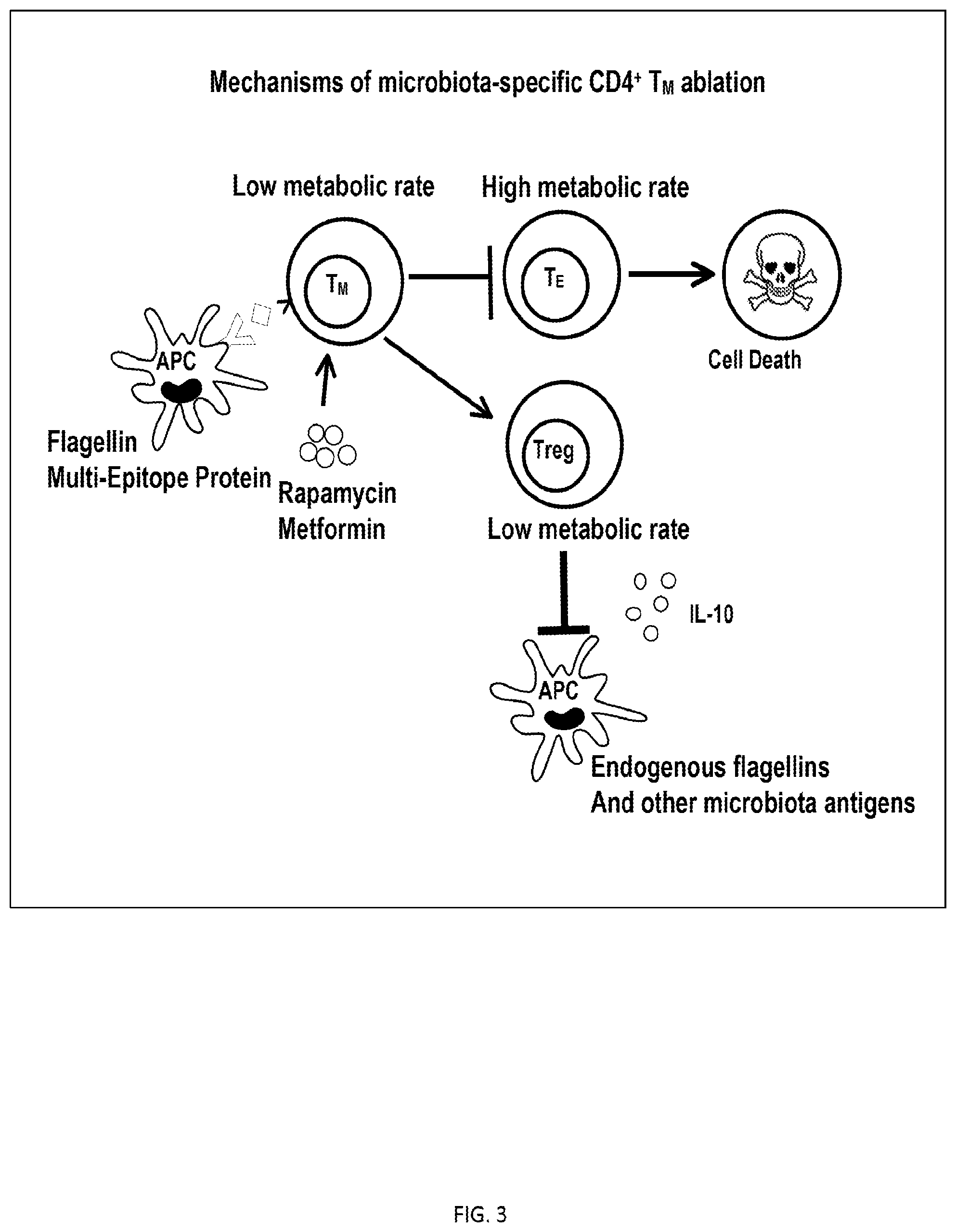 Patent US12350317 Figure 3 – Immunotherapy for the treatment and prevention of inflammatory bowel disease